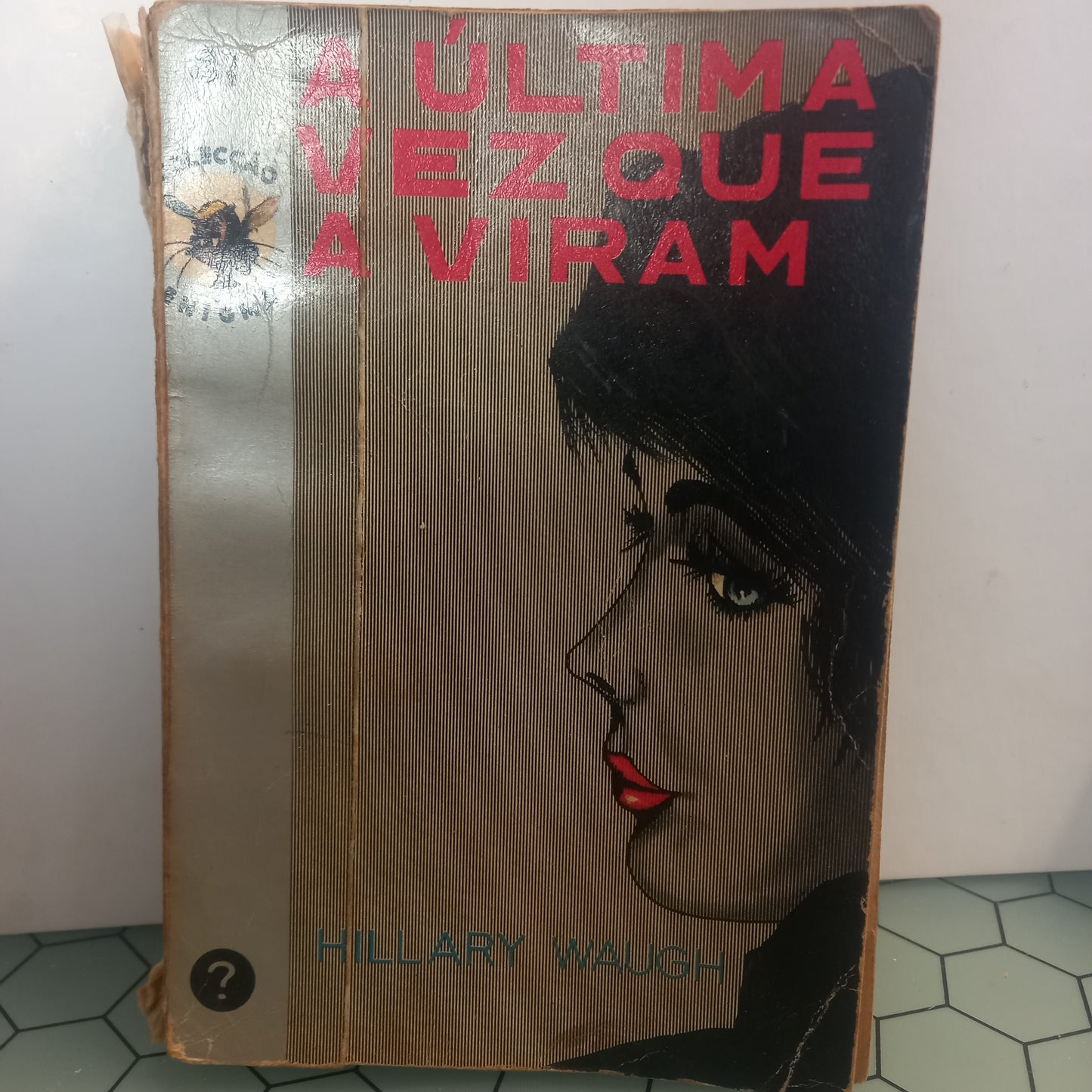 A Última vez que a Viram (Usado)