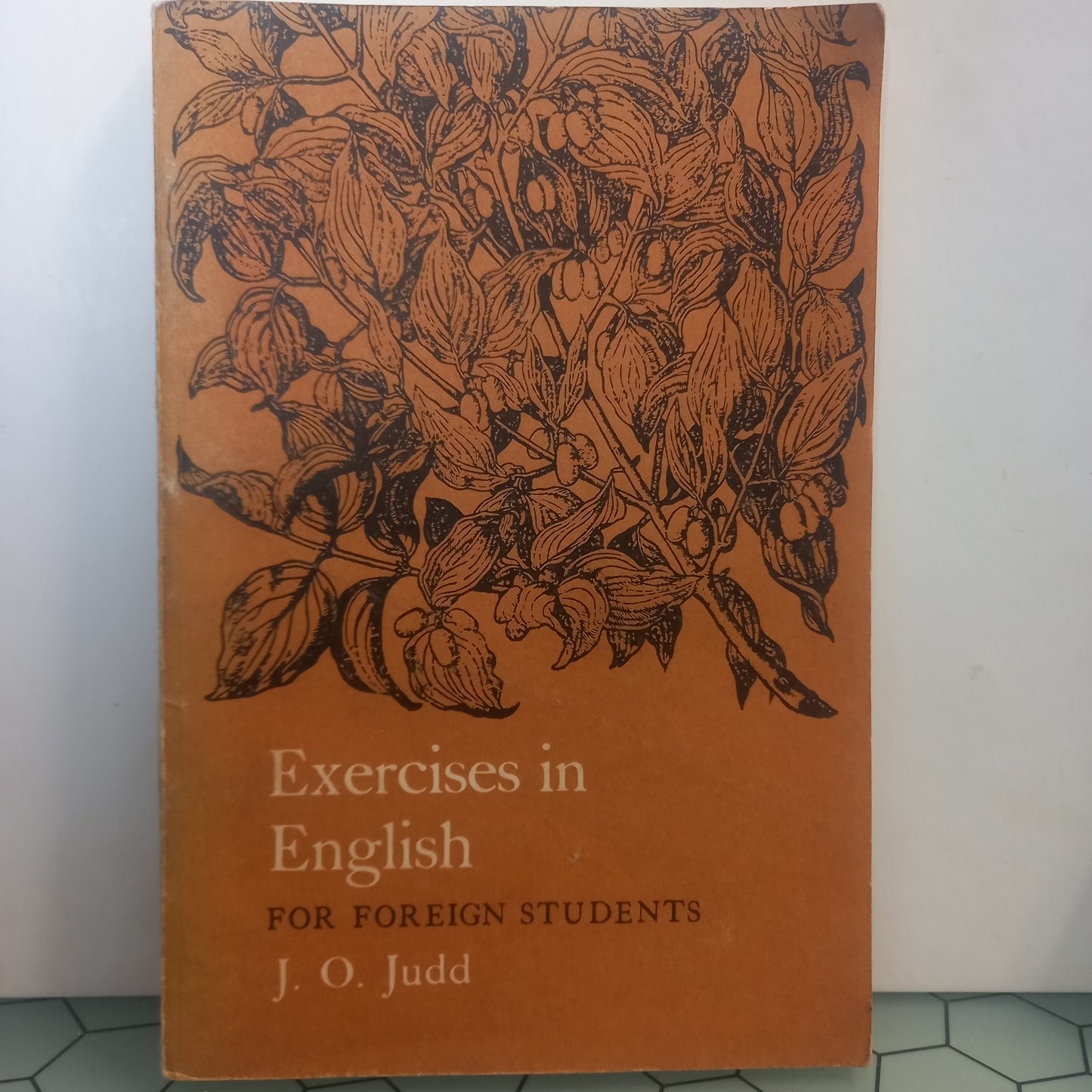 Exercises in English (Usado)