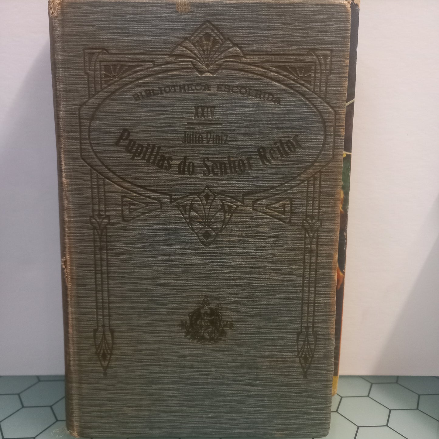 Pupilas do Senhor Reitor (Usado)