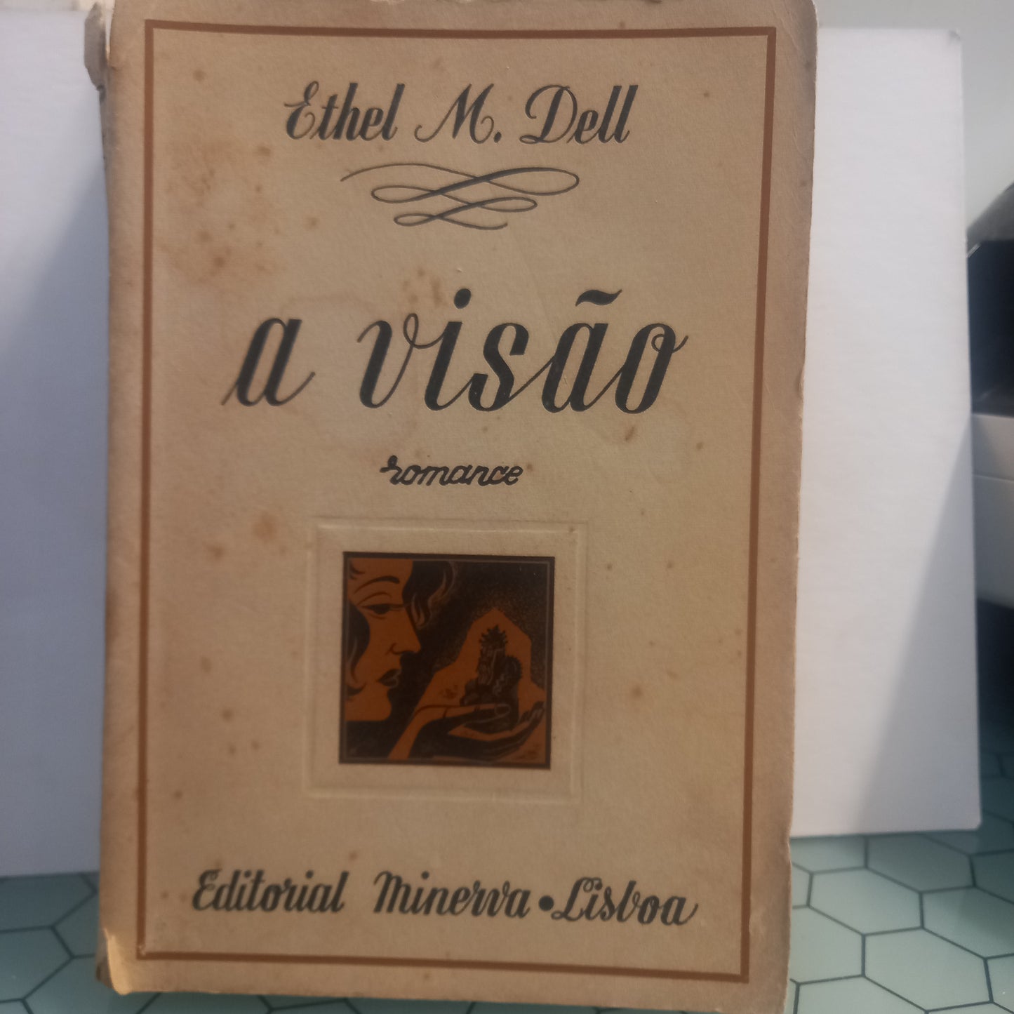 A Visão (Envelhecido)