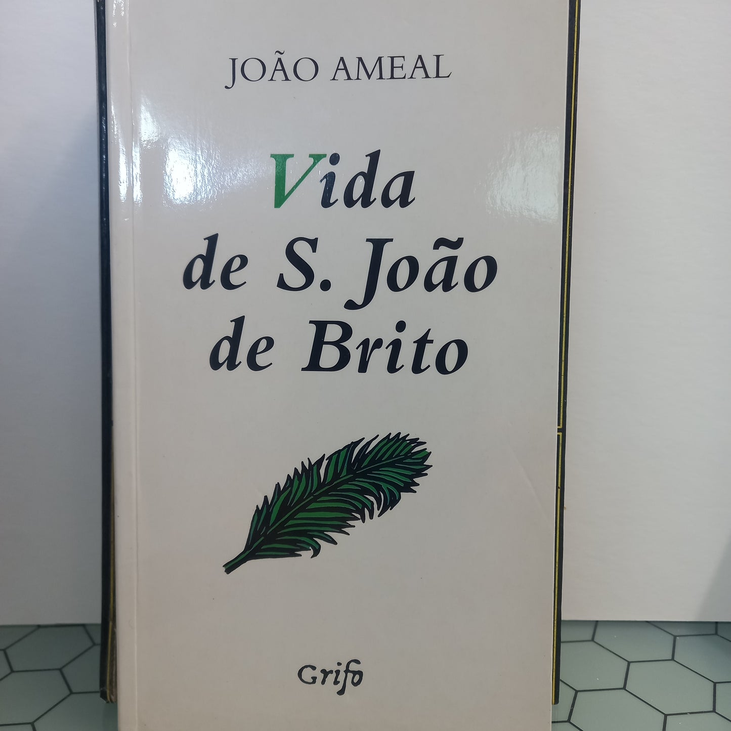 Vida de S. João de Brito (Muito Bom Estado)