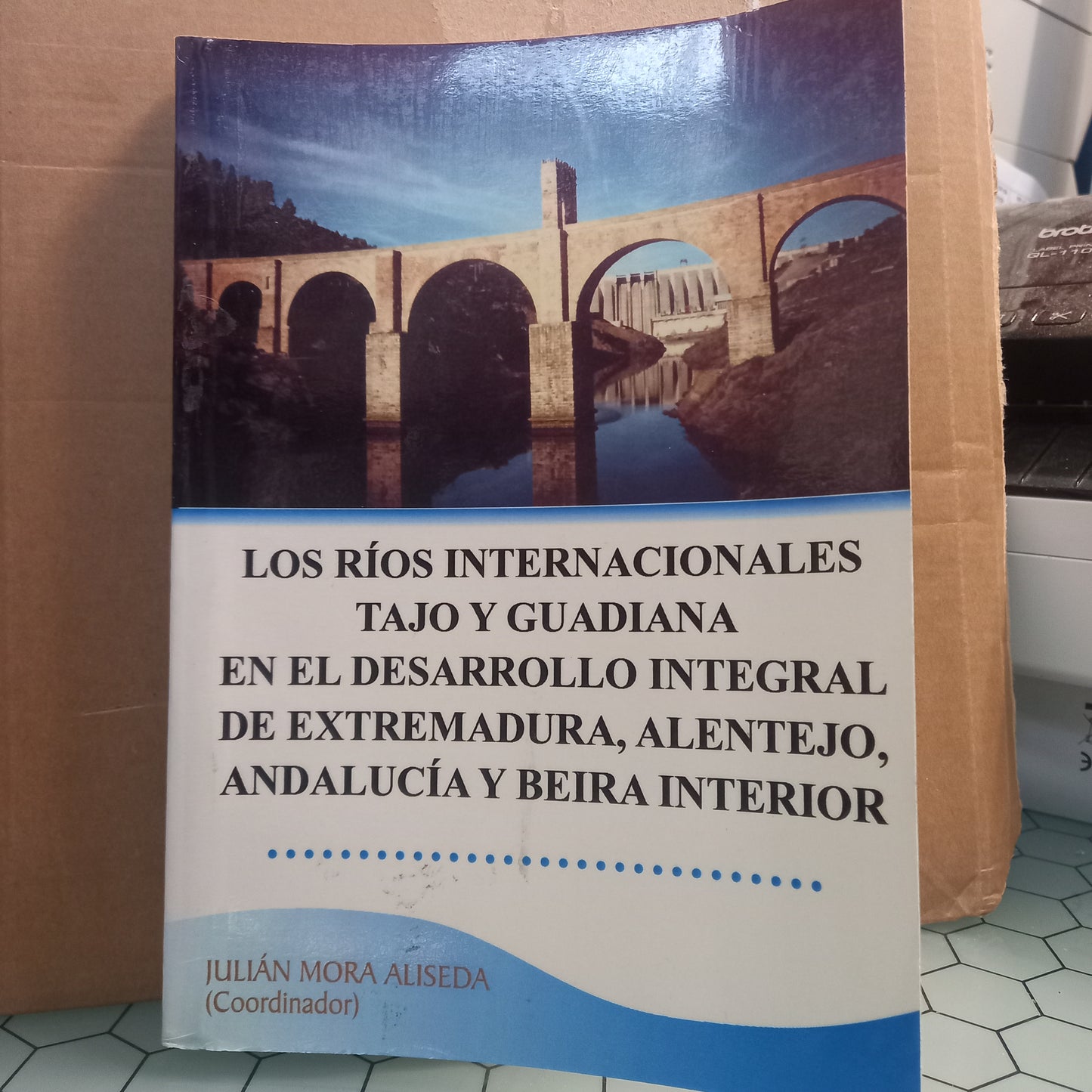 Los Rios Internacionales Tajo Y Guadiana en el Desarrollo Integral de Extremadura, Alentejo, Andalucia y Beira Interior (Bom Estado)
