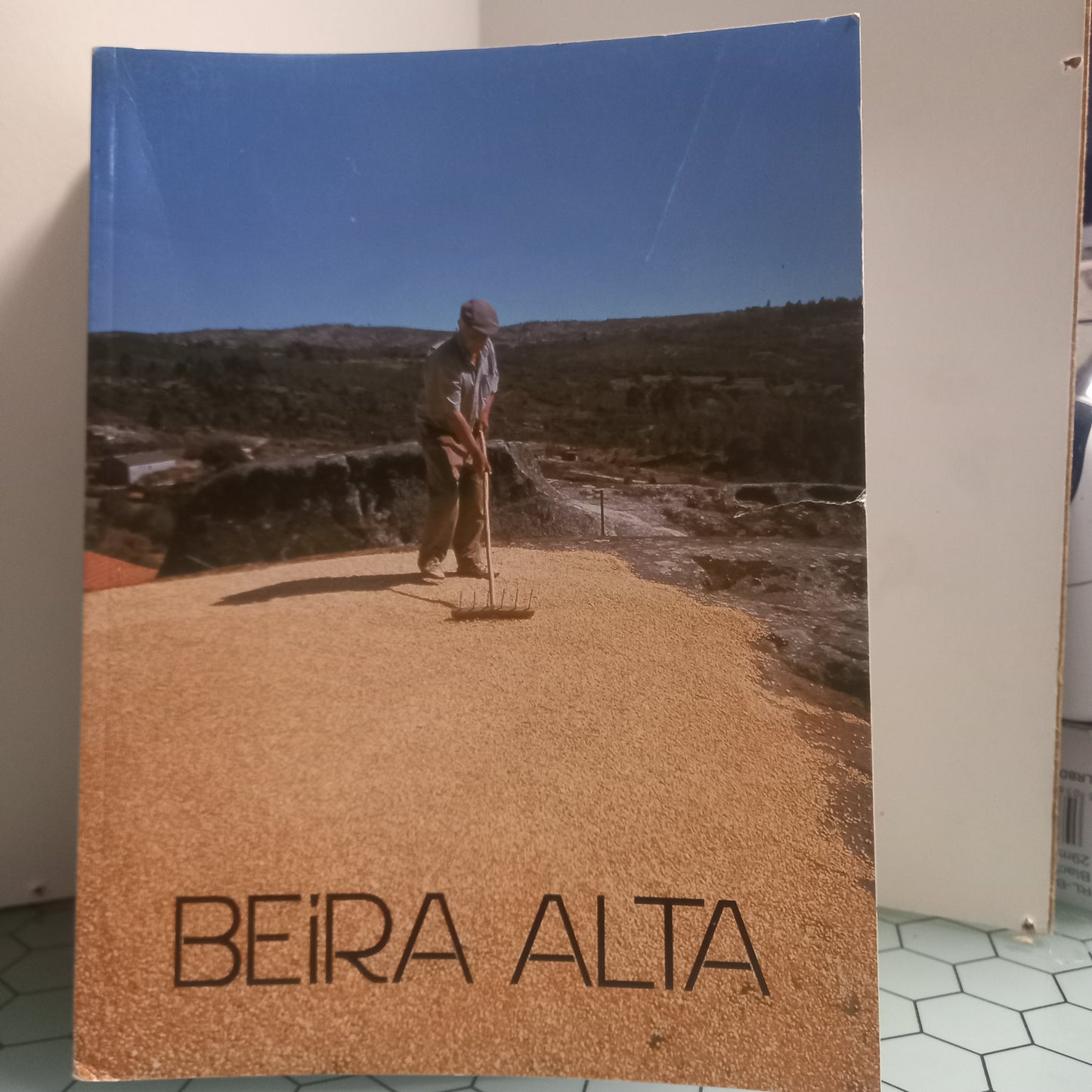 Beira Alta Volume LXII (MUITO Bom Estado)