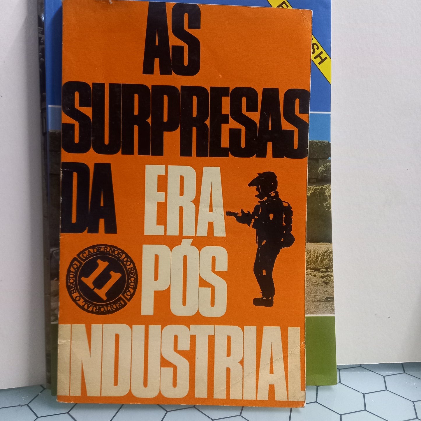 As Surpresas da Era Pós Industrial (Usado)