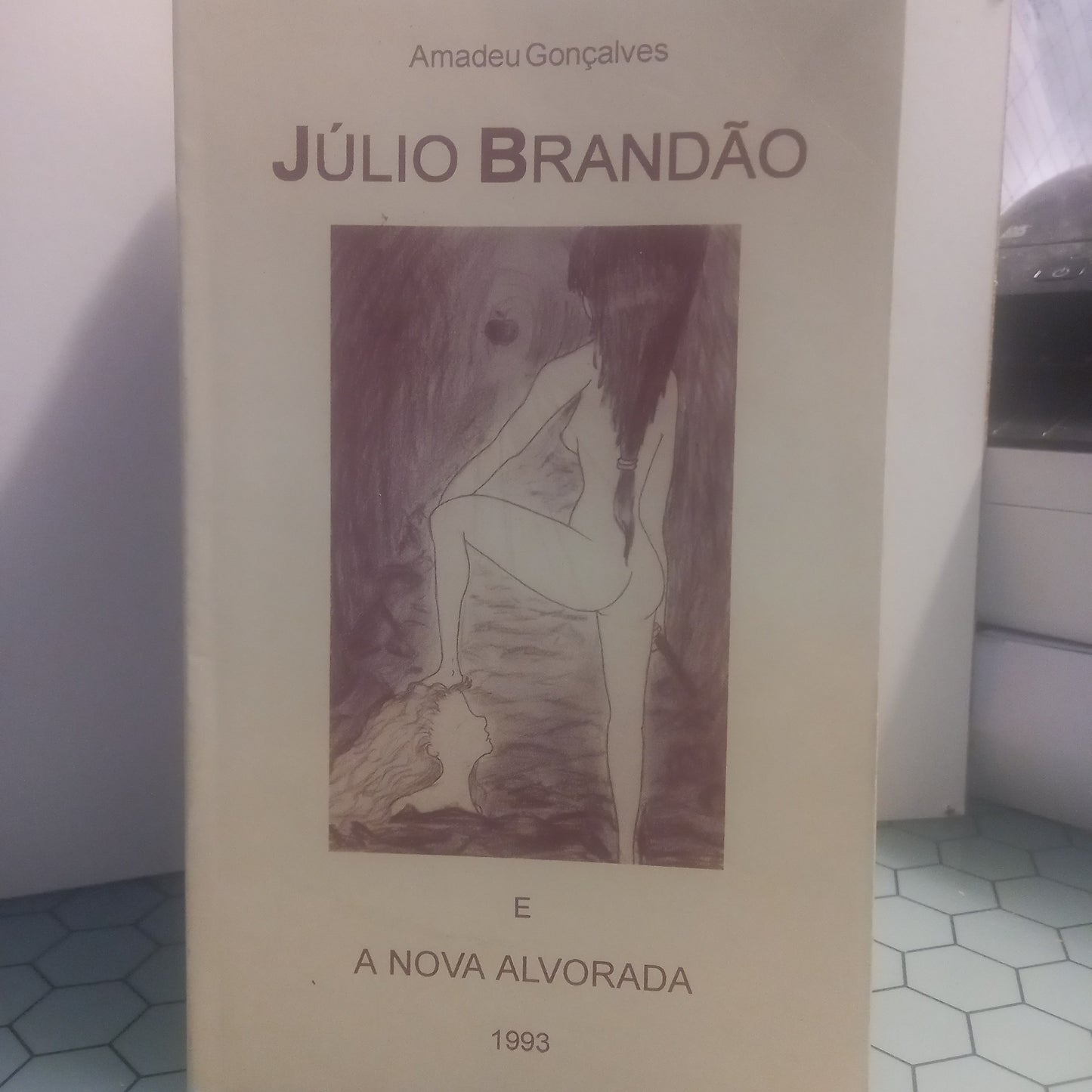Julio Brandão e a Nova Alvorada (Bom Estado)