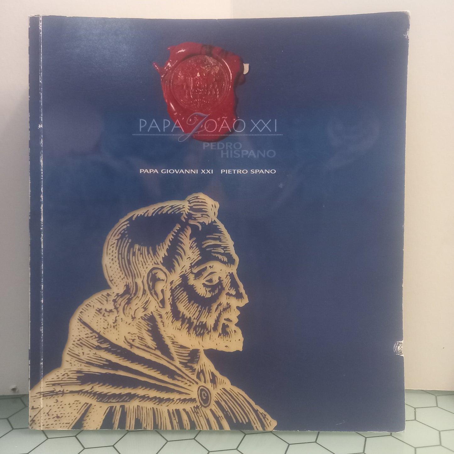 Papa João XXI (Usado)