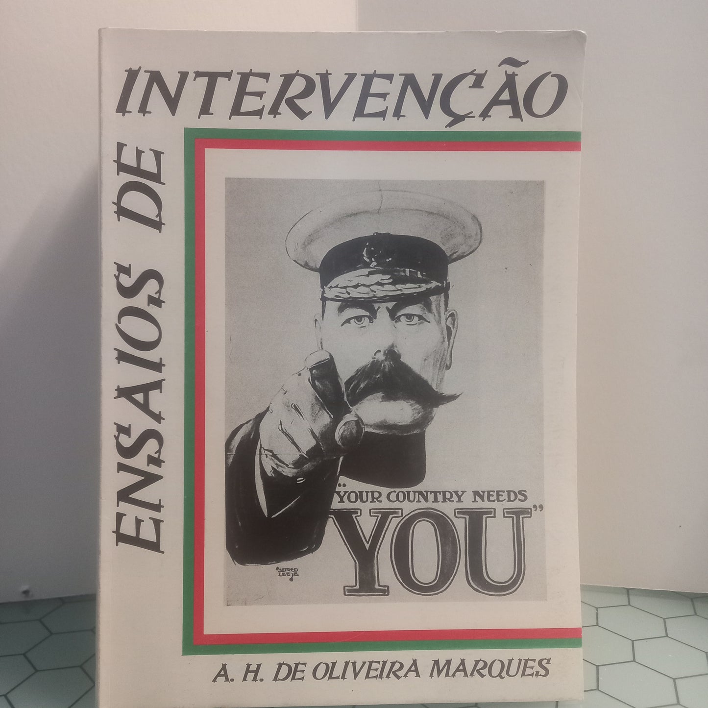 Ensaios de Intervenção (Bom Estado)
