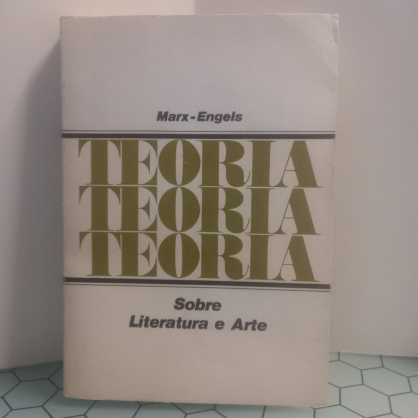 Teoria Sobre Literatura e Arte (Bom Estado)