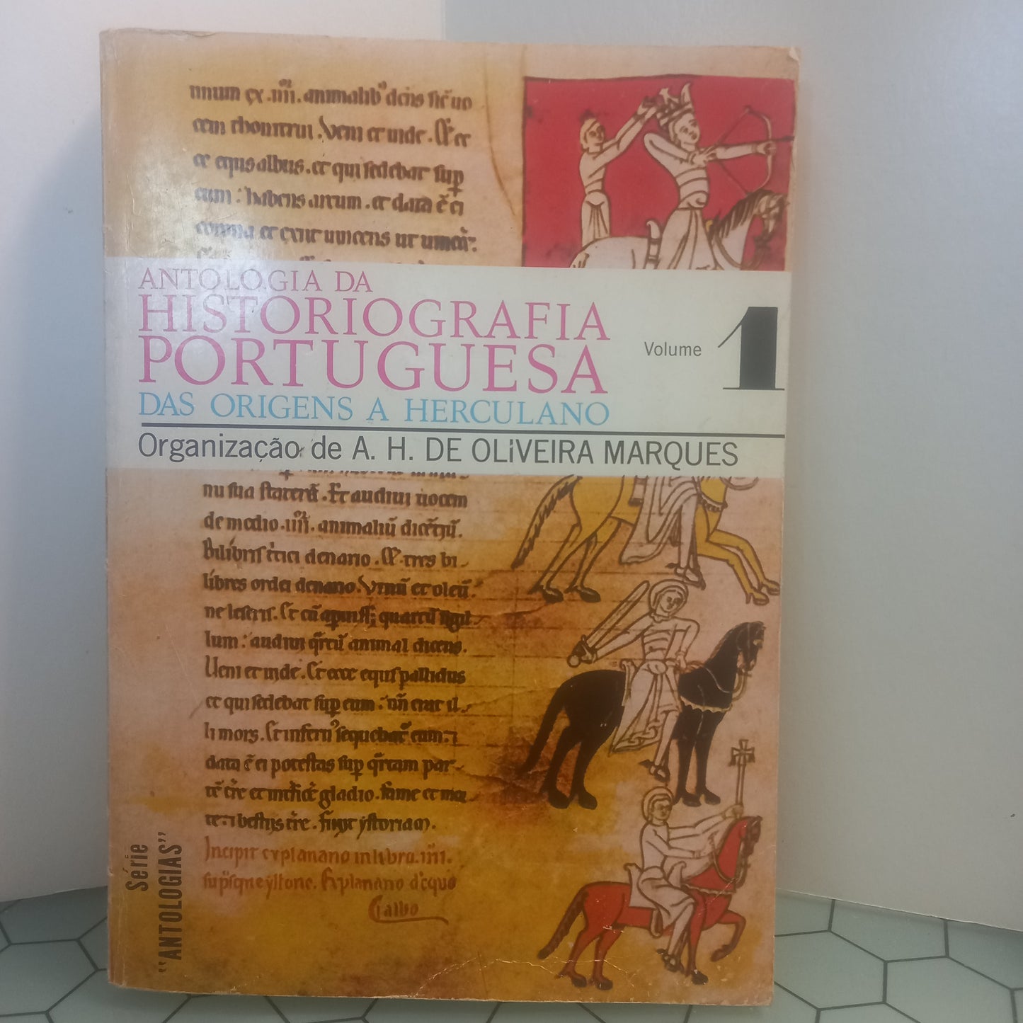 Antologia da Historiografia Portuguesa I (Bom Estado)