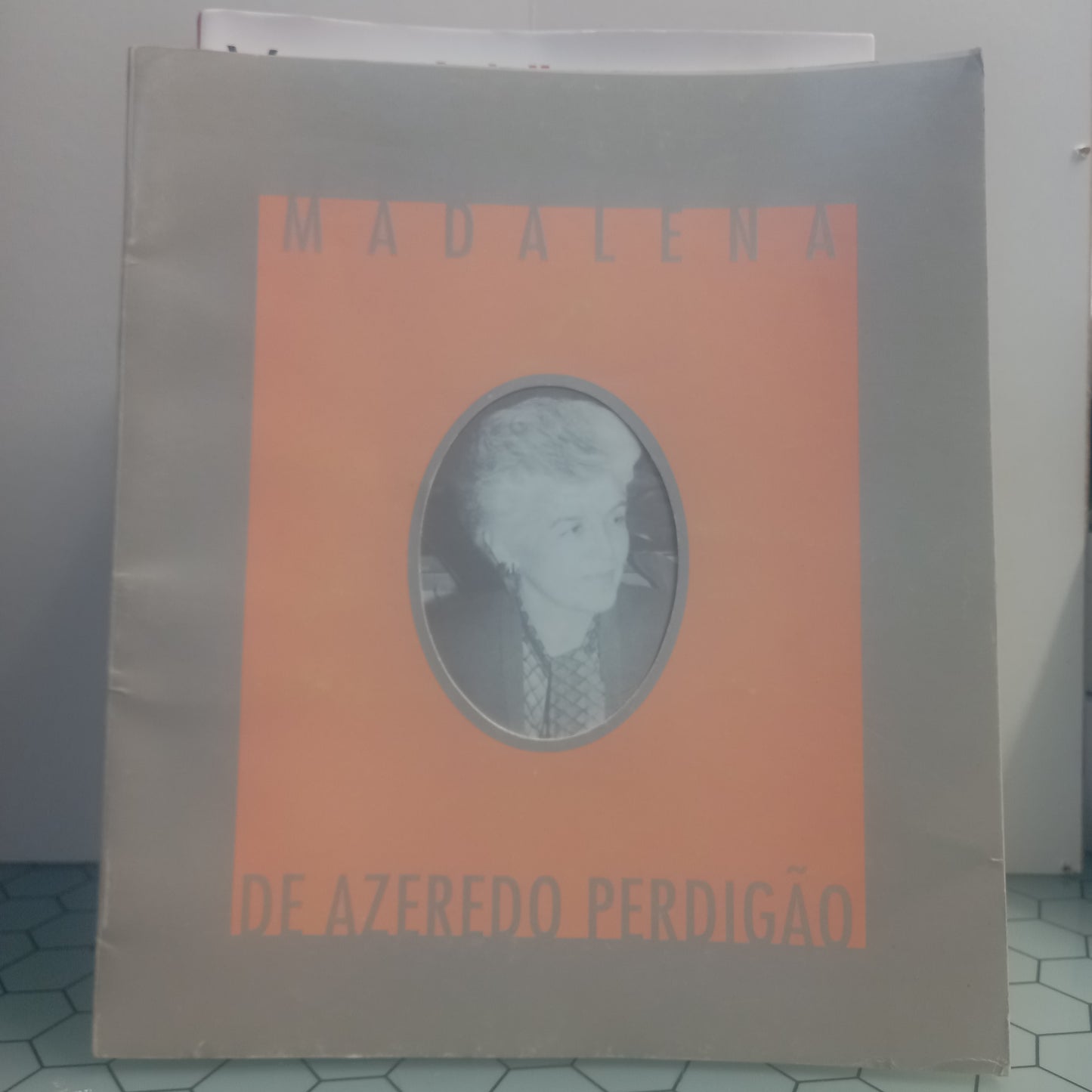 Madalena de Azeredo Perdigão (Bom Estado)