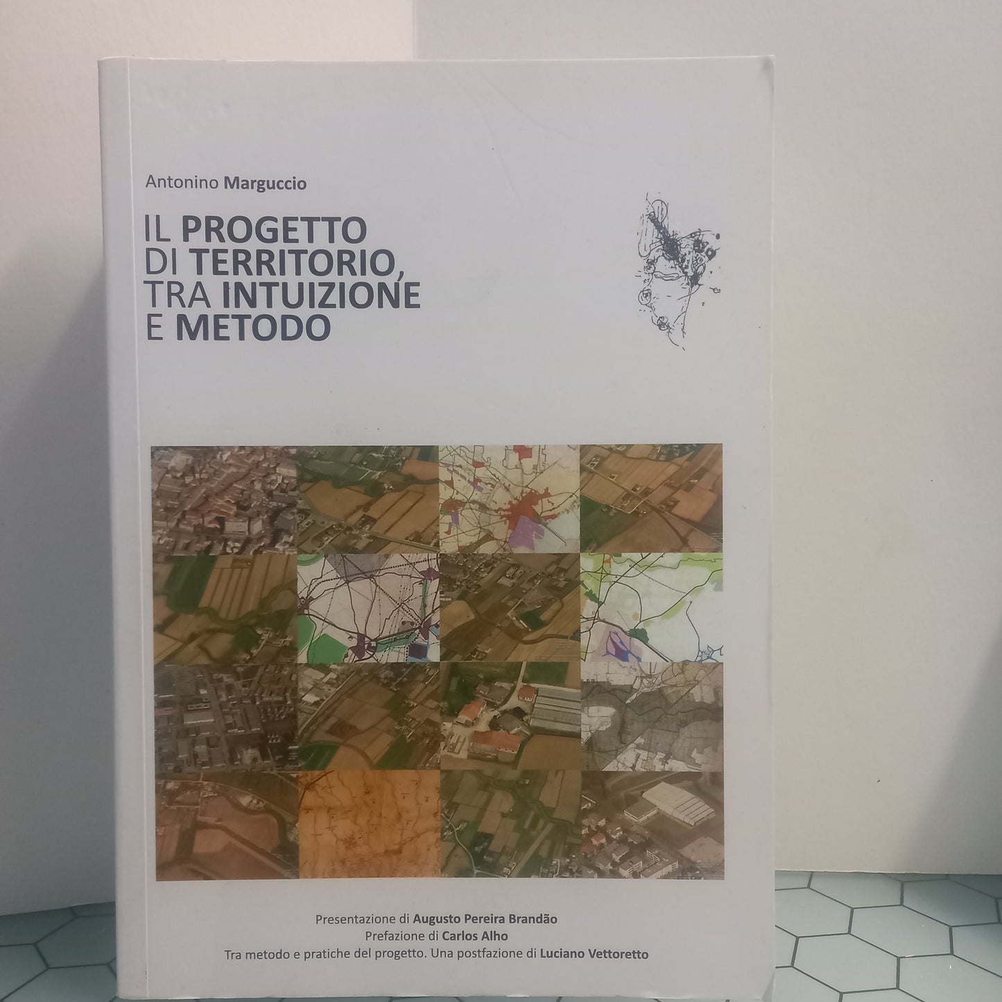 Il Progetto di Territorio Tra Intuizione e Metodo (Como Novo)