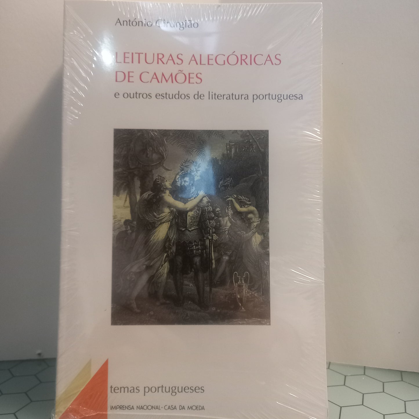 Leituras Alegóricas de Camões e Outros Estudos de Literatura Portuguesa