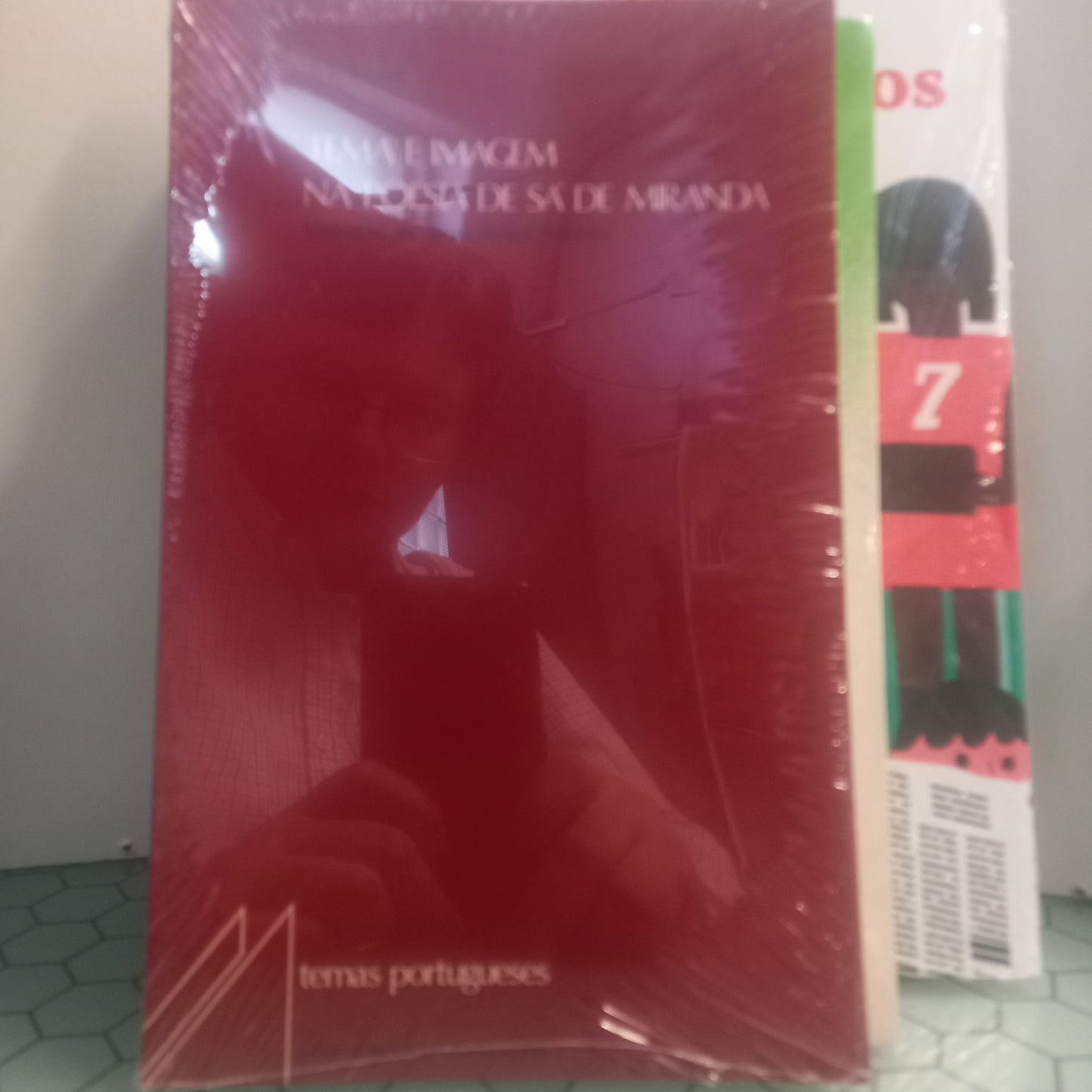 Tema e Imagem na Poesia de Sá de Miranda