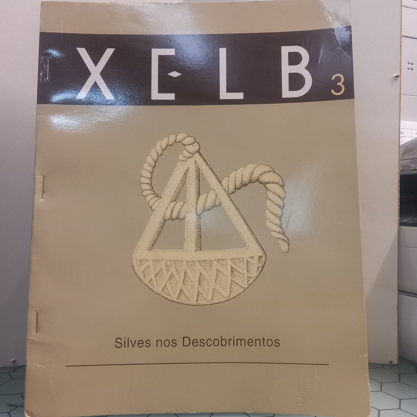 Silves nos Descobrimentos (Bom Estado)