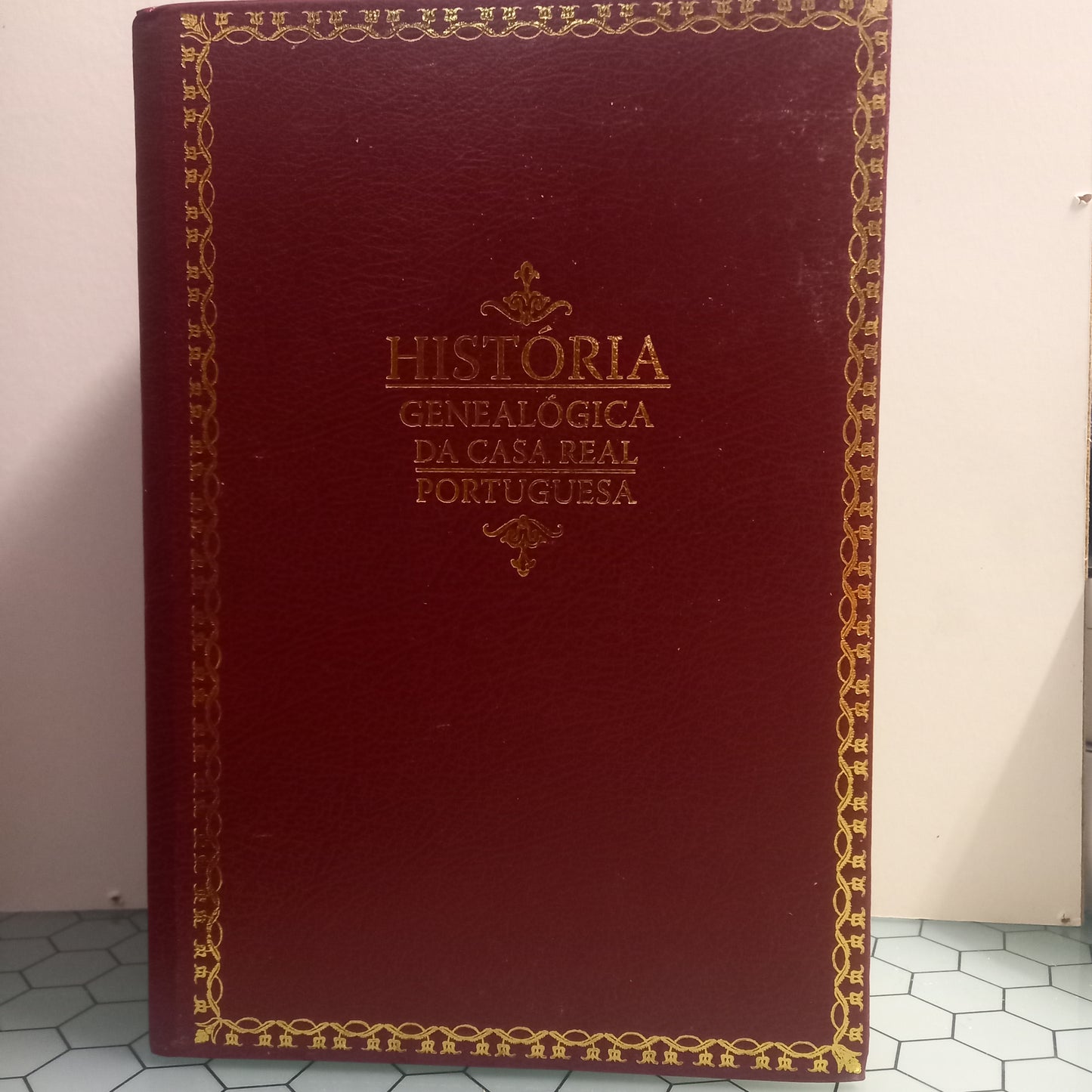 História Genealógica da Casa Real Portuguesa Tomo VIII