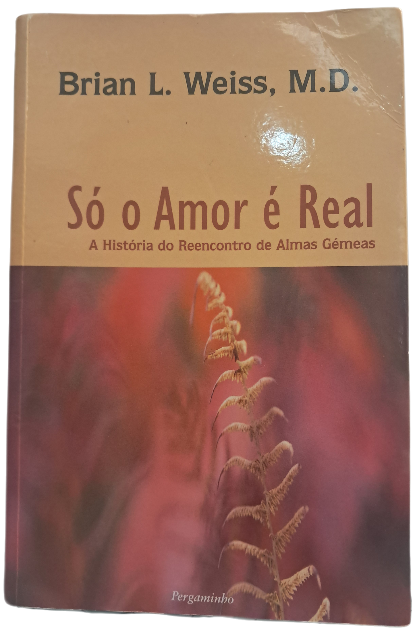 Só o Amor É Real (Bom Estado)