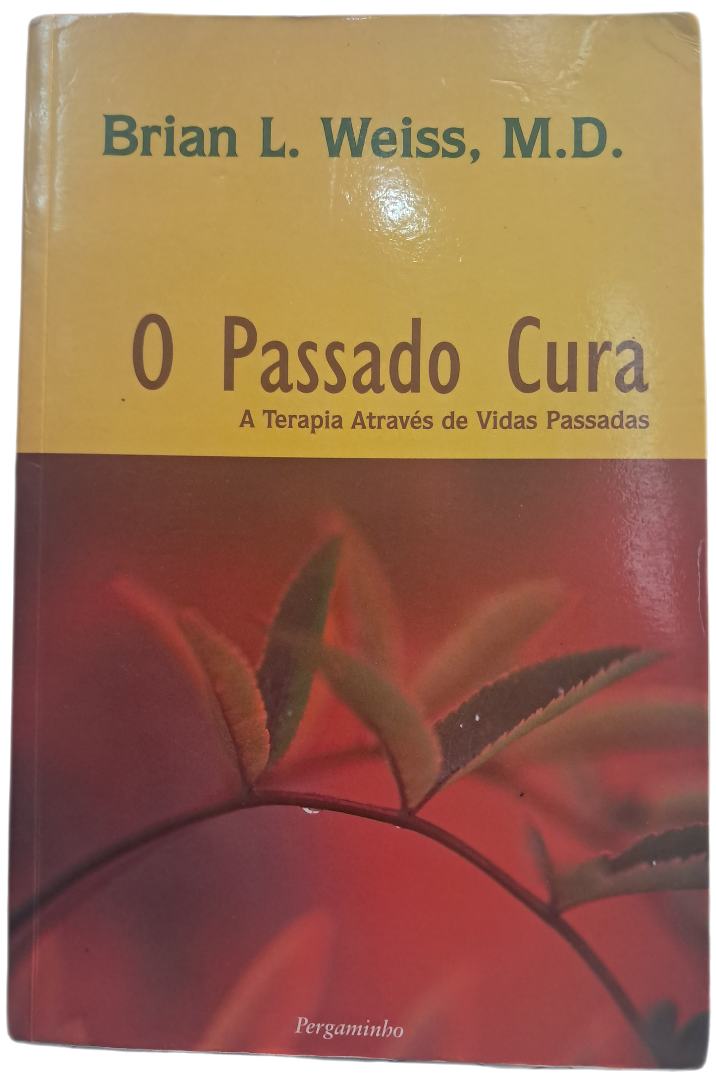 O Passado Cura (Bom Estado)
