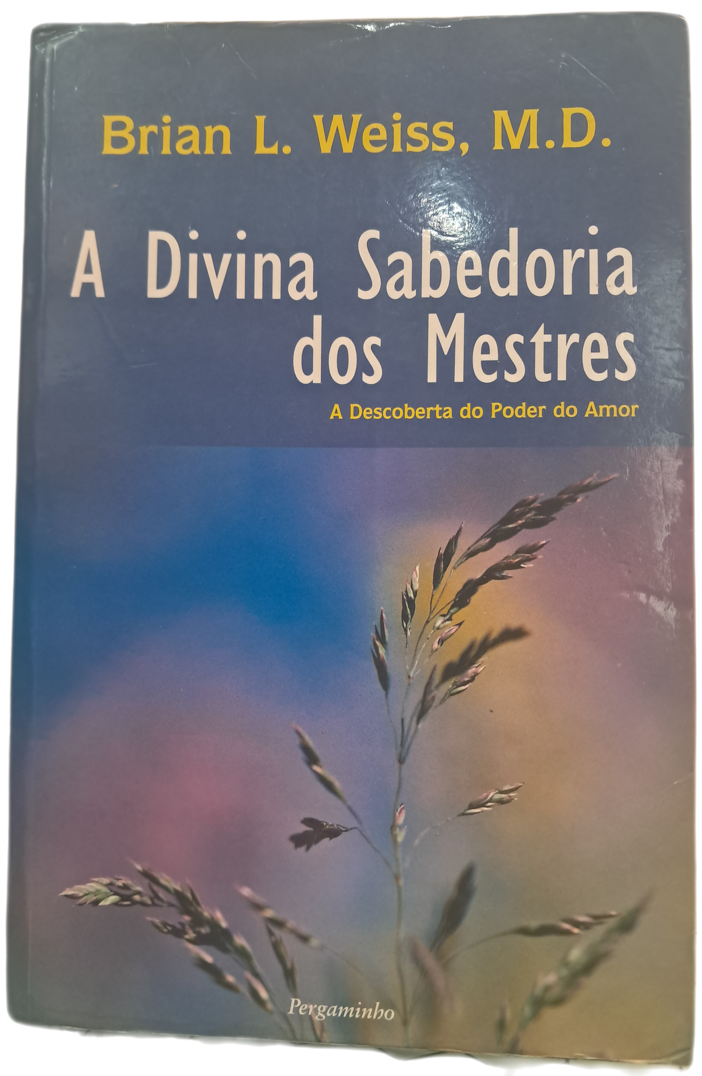 A Divina Sabedoria dos Mestres (Bom Estado) (CAPA DIF)