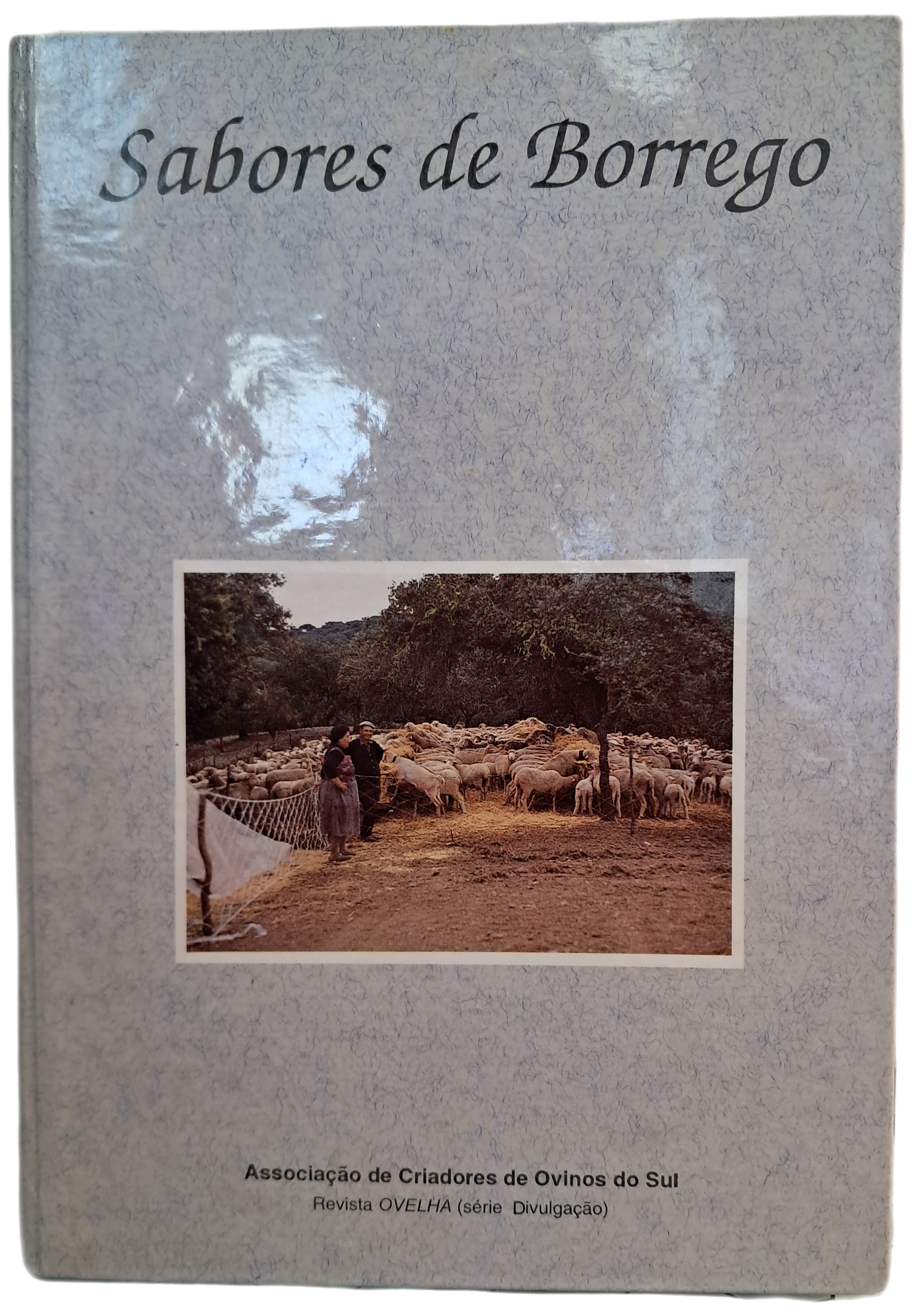 Sabores de Borrego (Como Novo)