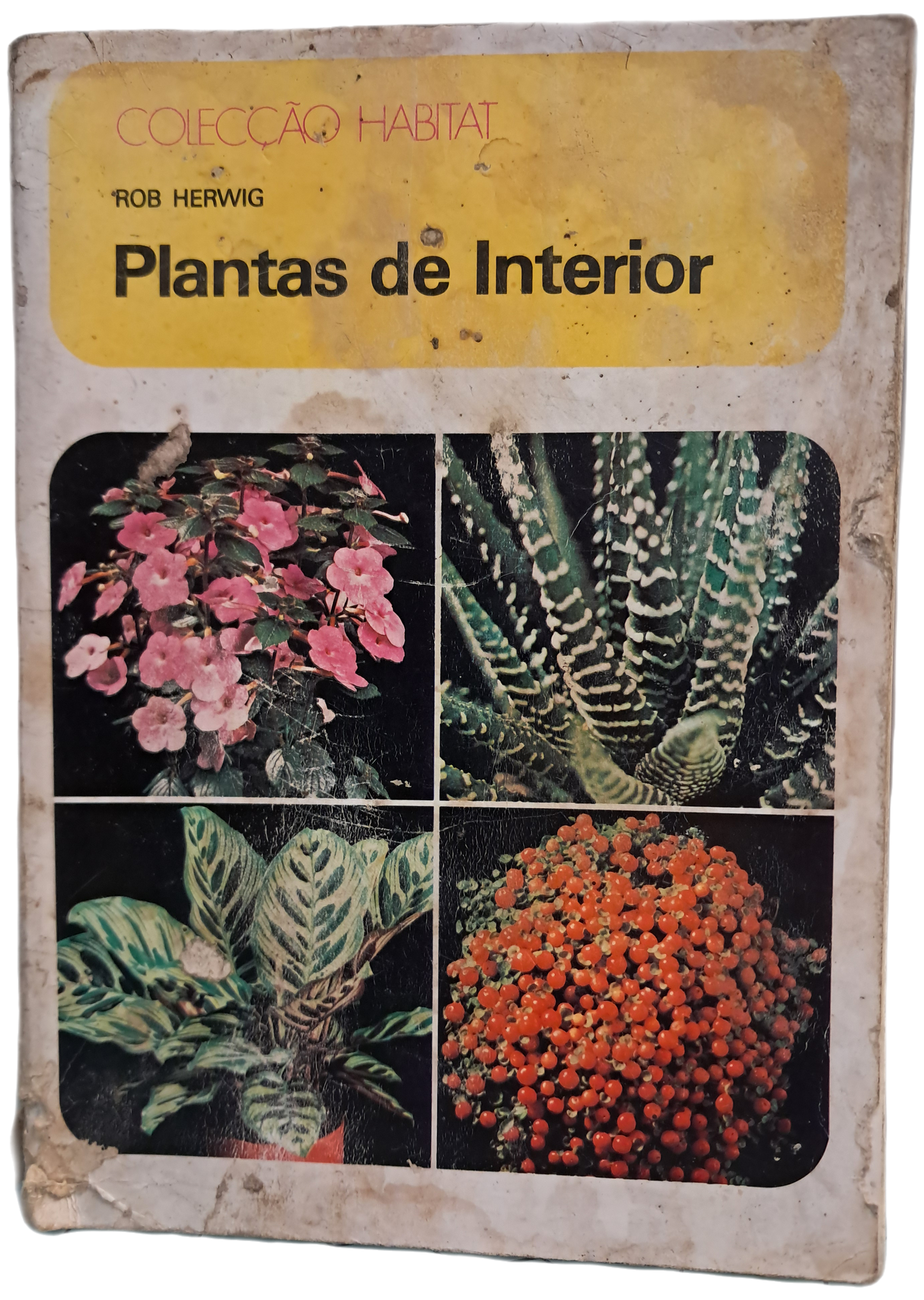 Plantas de Interior (Envelhecido)