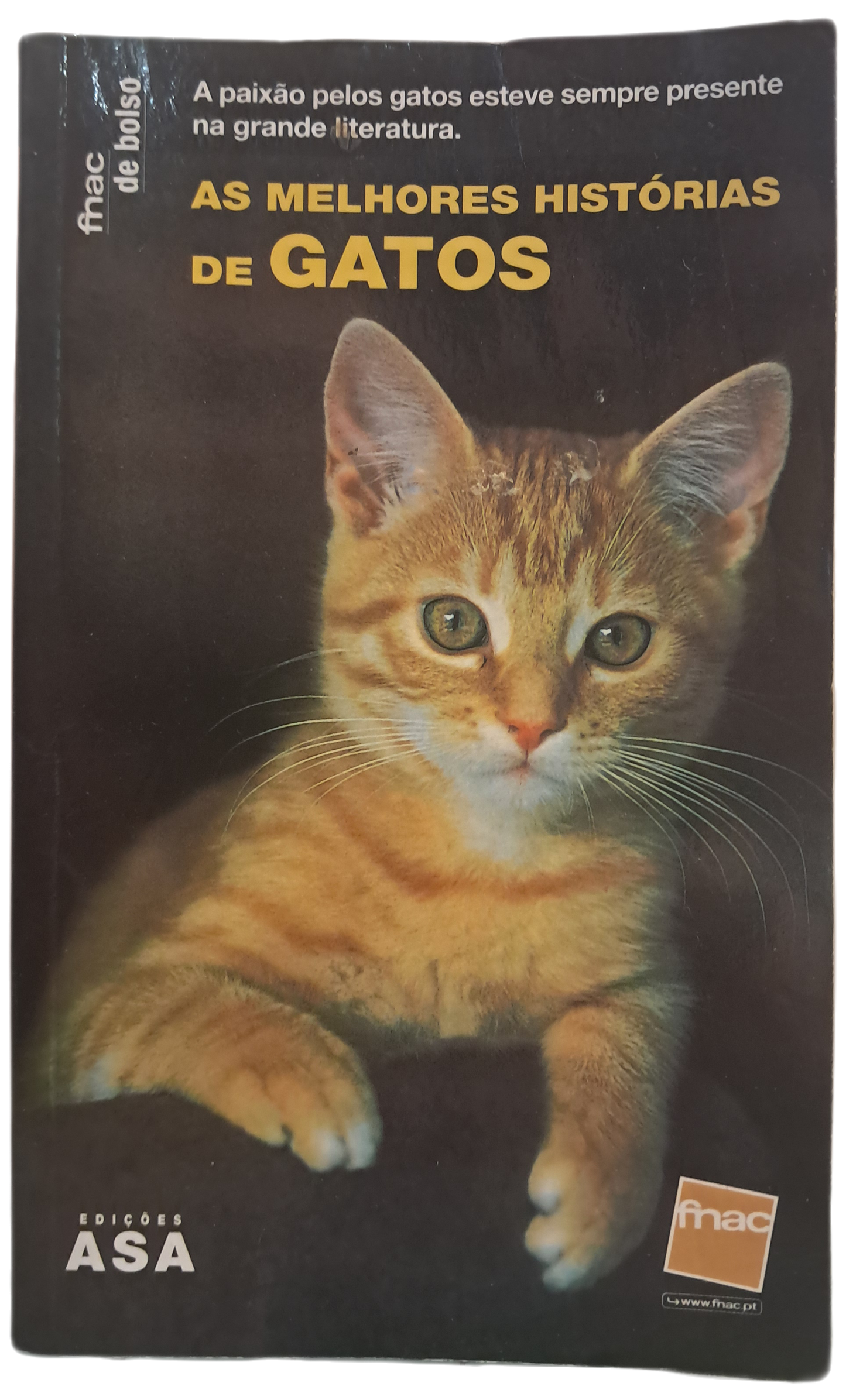 As Melhores Histórias de Gatos (Bom Estado)