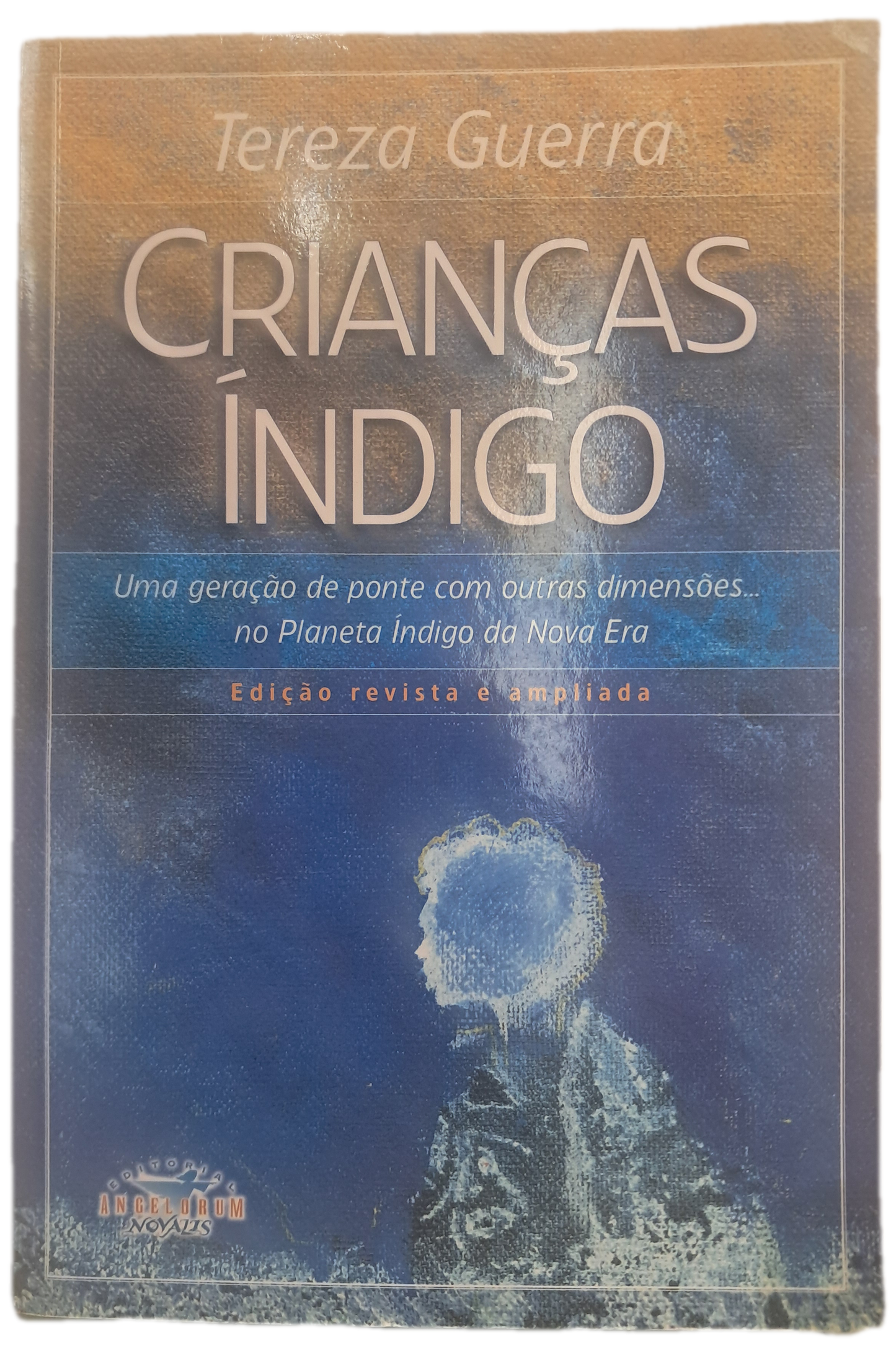 Crianças Indigo (Usado)