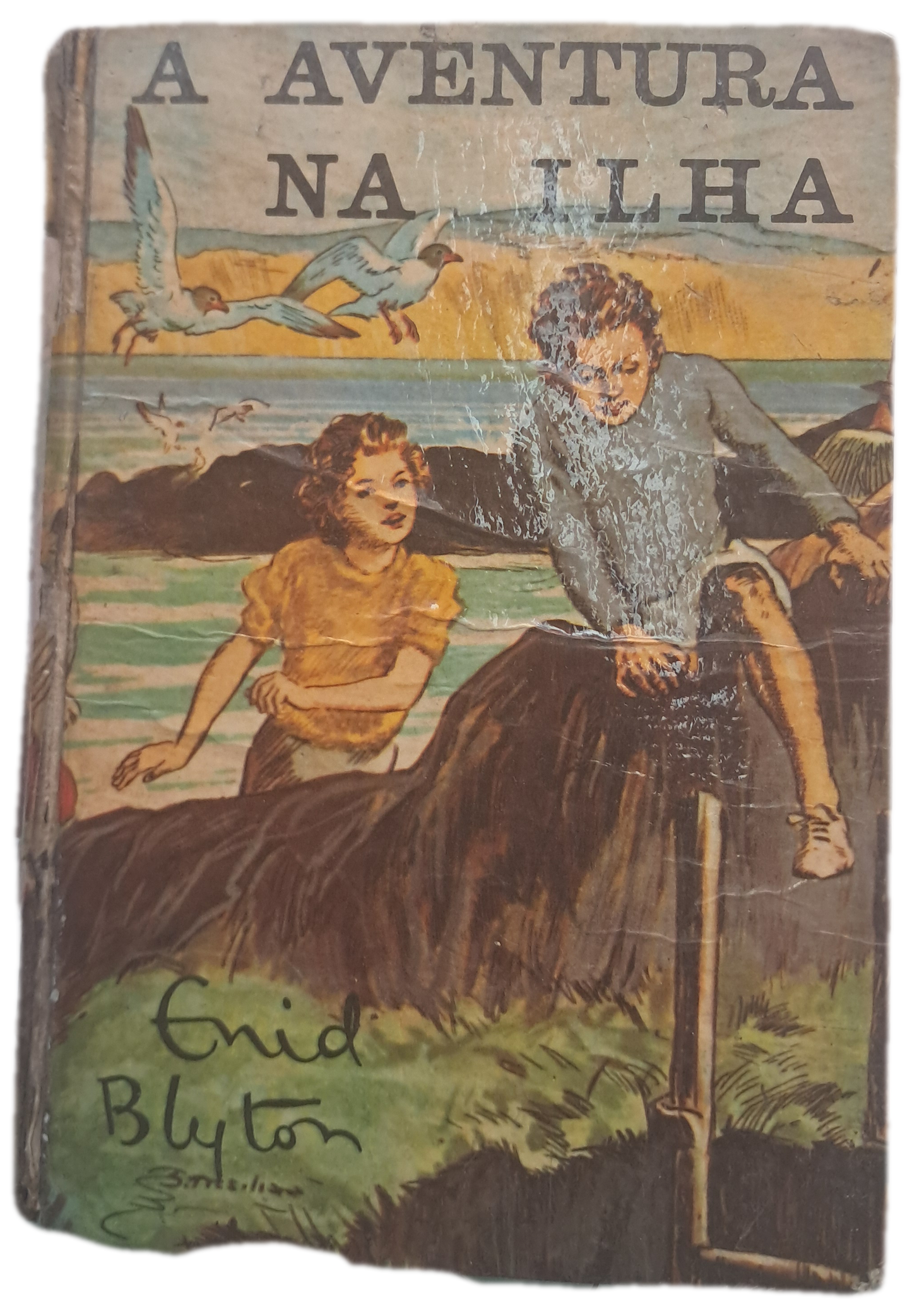 A Aventura na Ilha (Usado)