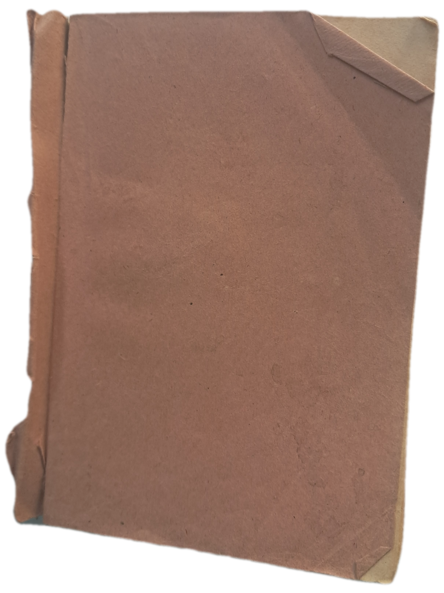 Rudimentos de Gramática Portuguesa (Usado)