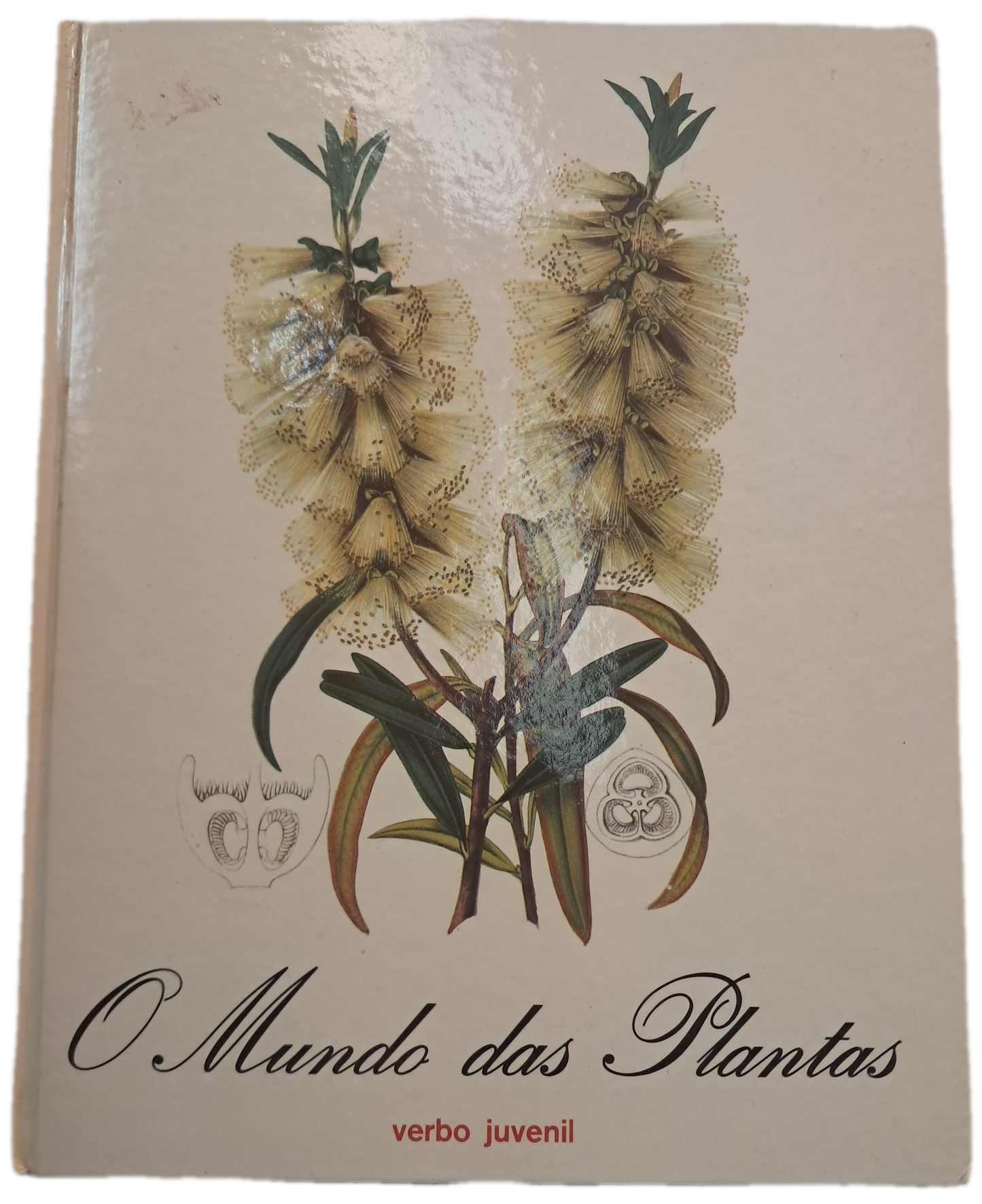 O Mundo das Plantas (Bom Estado)