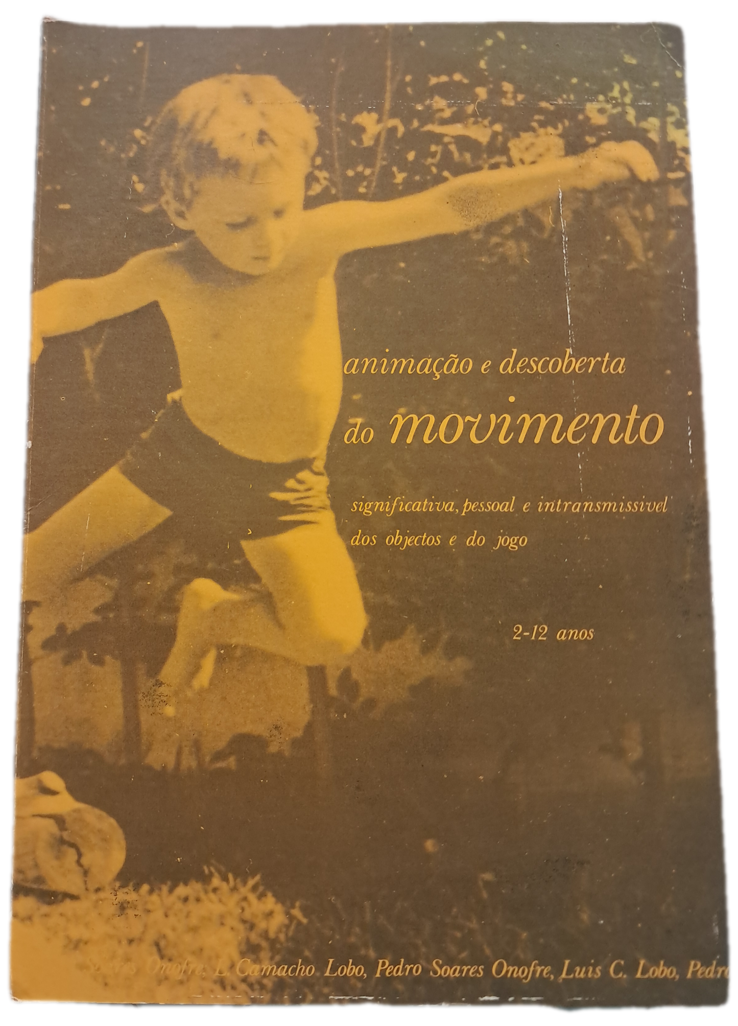 Animação e Descoberta do Movimento (Usado)