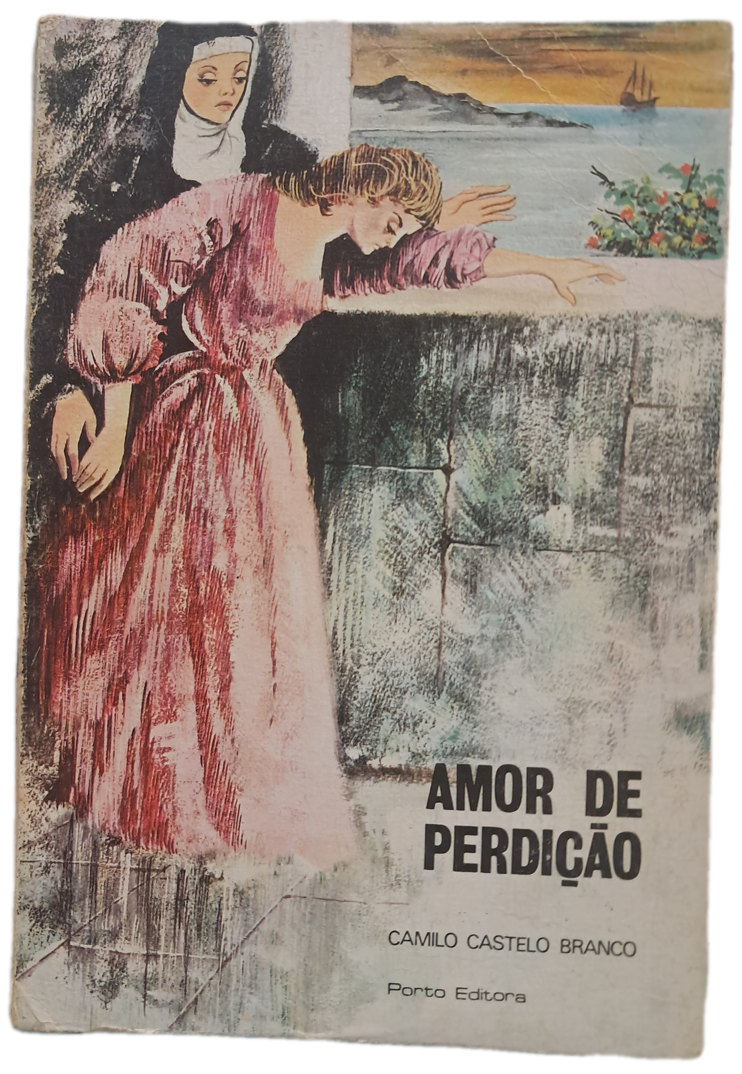 Amor de Perdição (Usado)