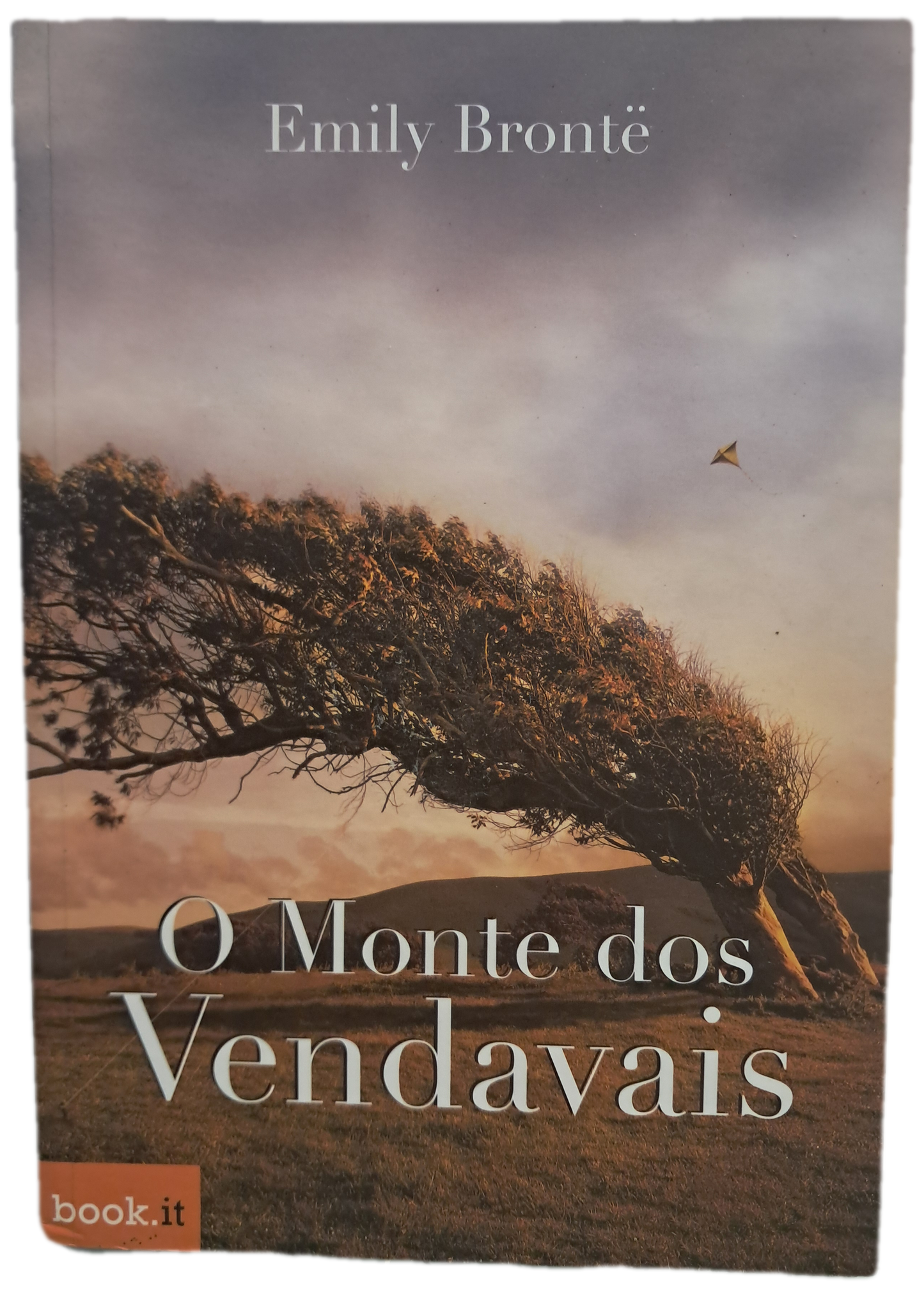 O Monte dos Vendavais (Como Novo)