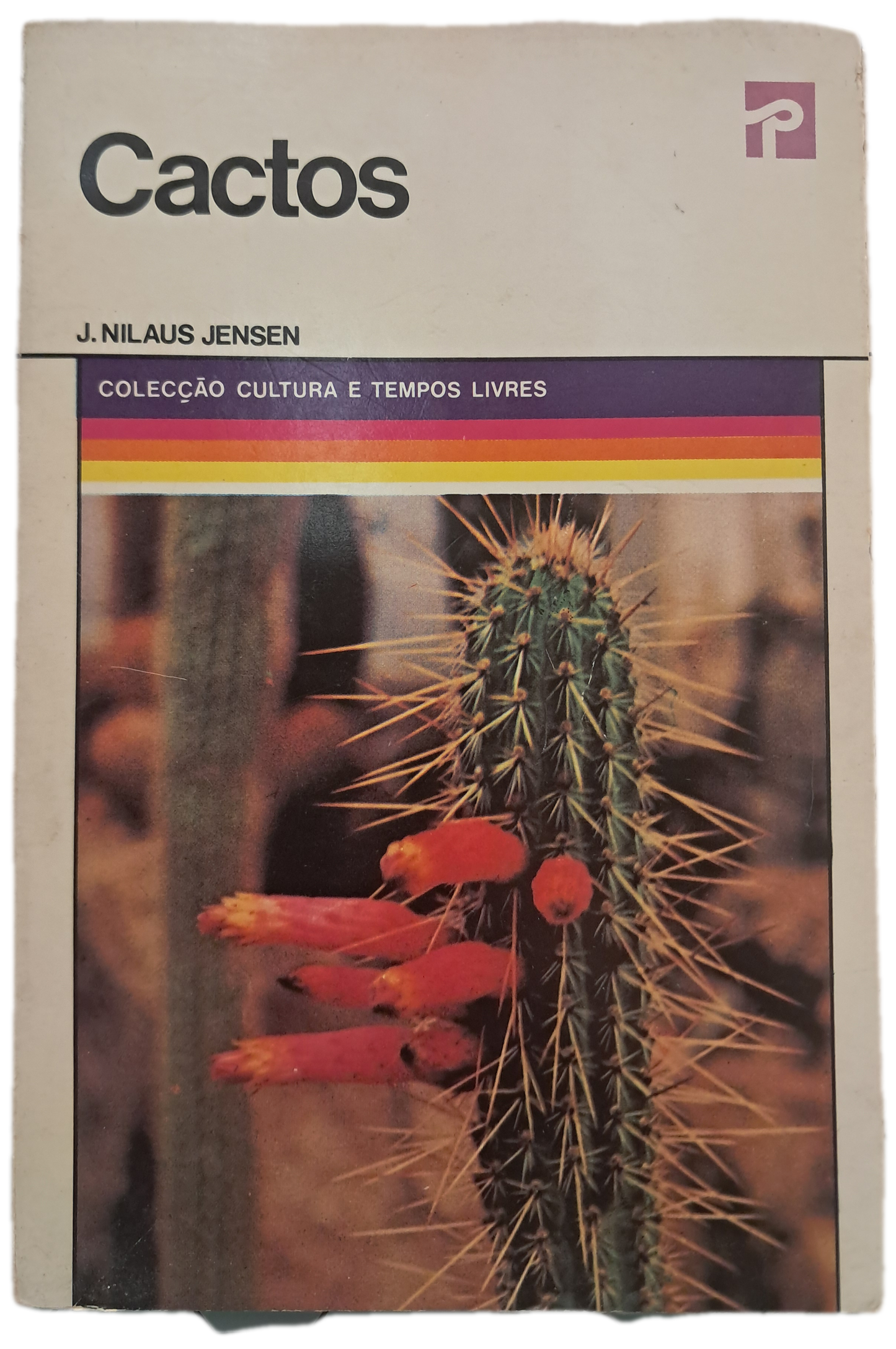 Cactos (Usado)