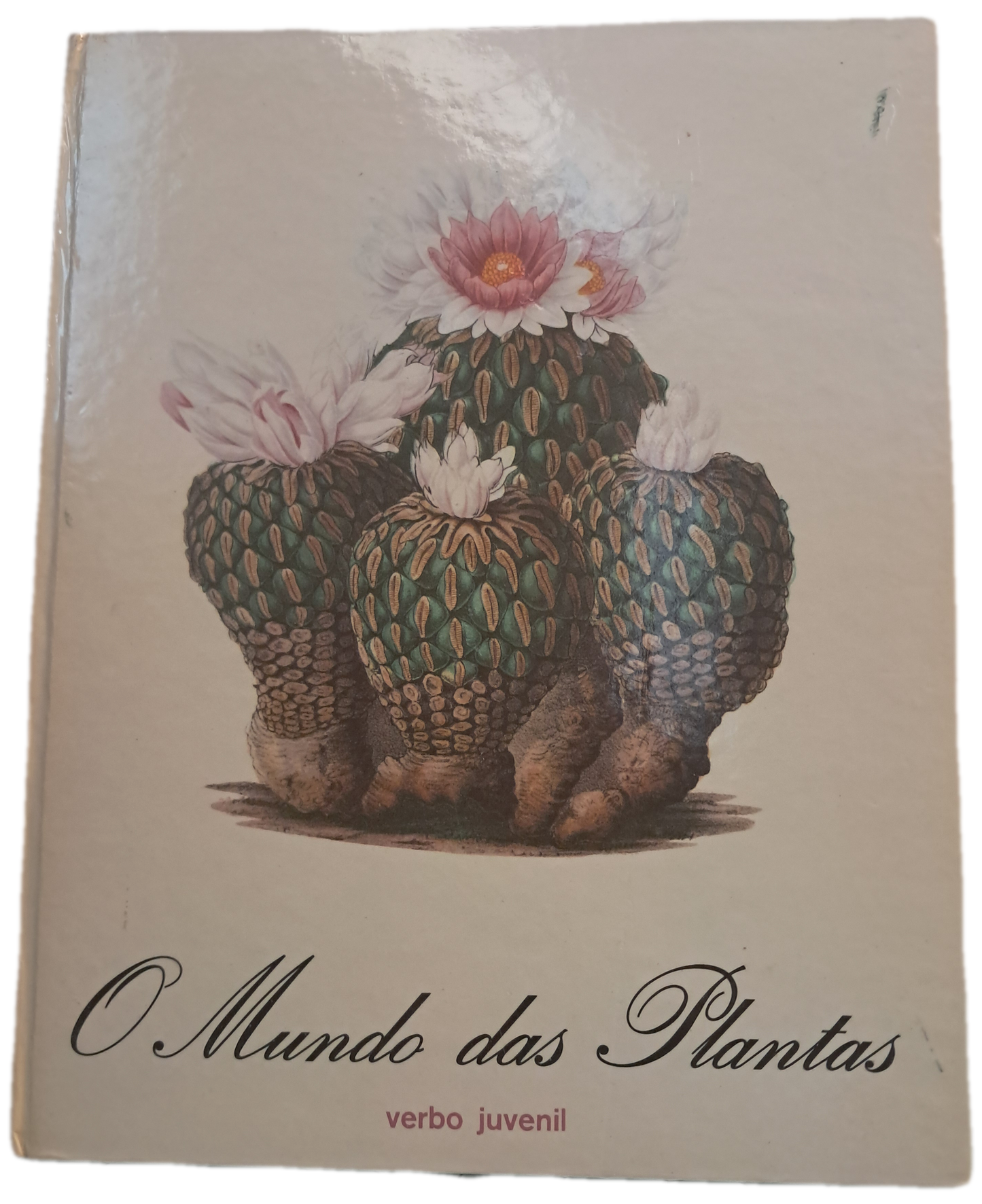 O Mundo das Plantas 8 (Bom Estado)