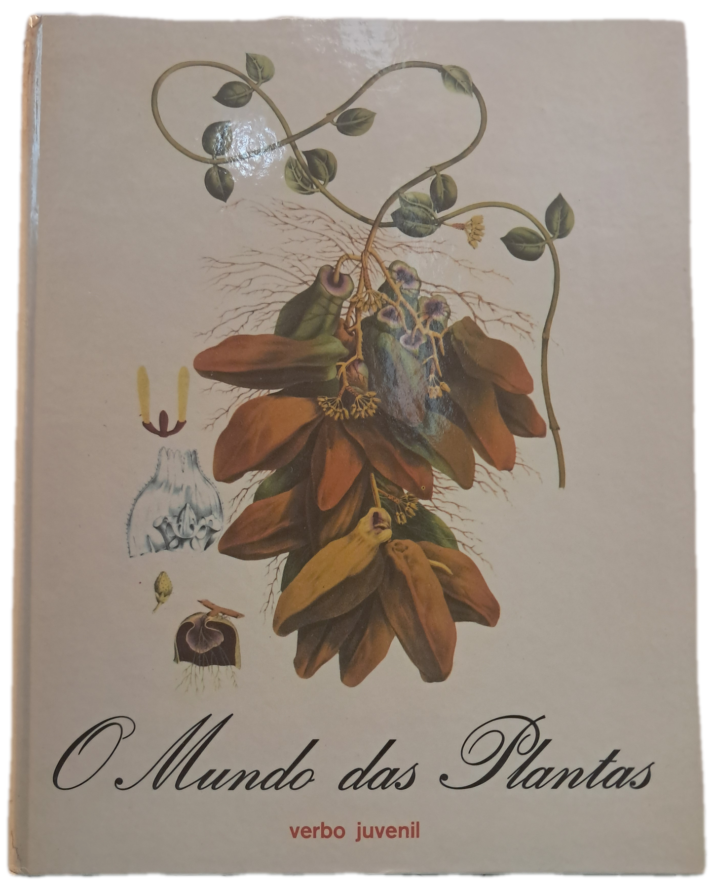 O Mundo das Plantas 6 (Bom Estado)