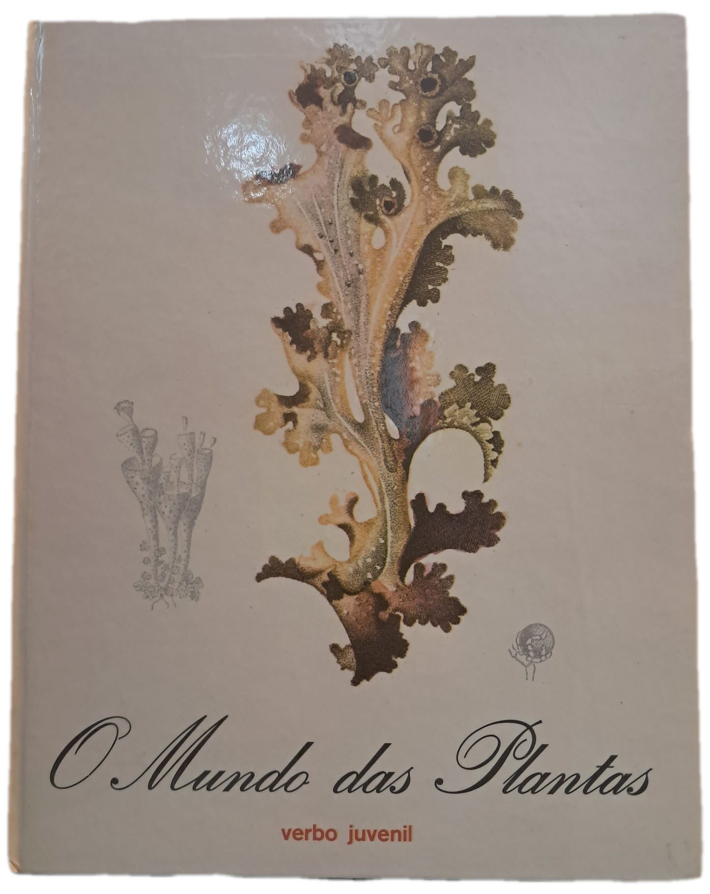 O Mundo das Plantas 4 (Bom Estado)