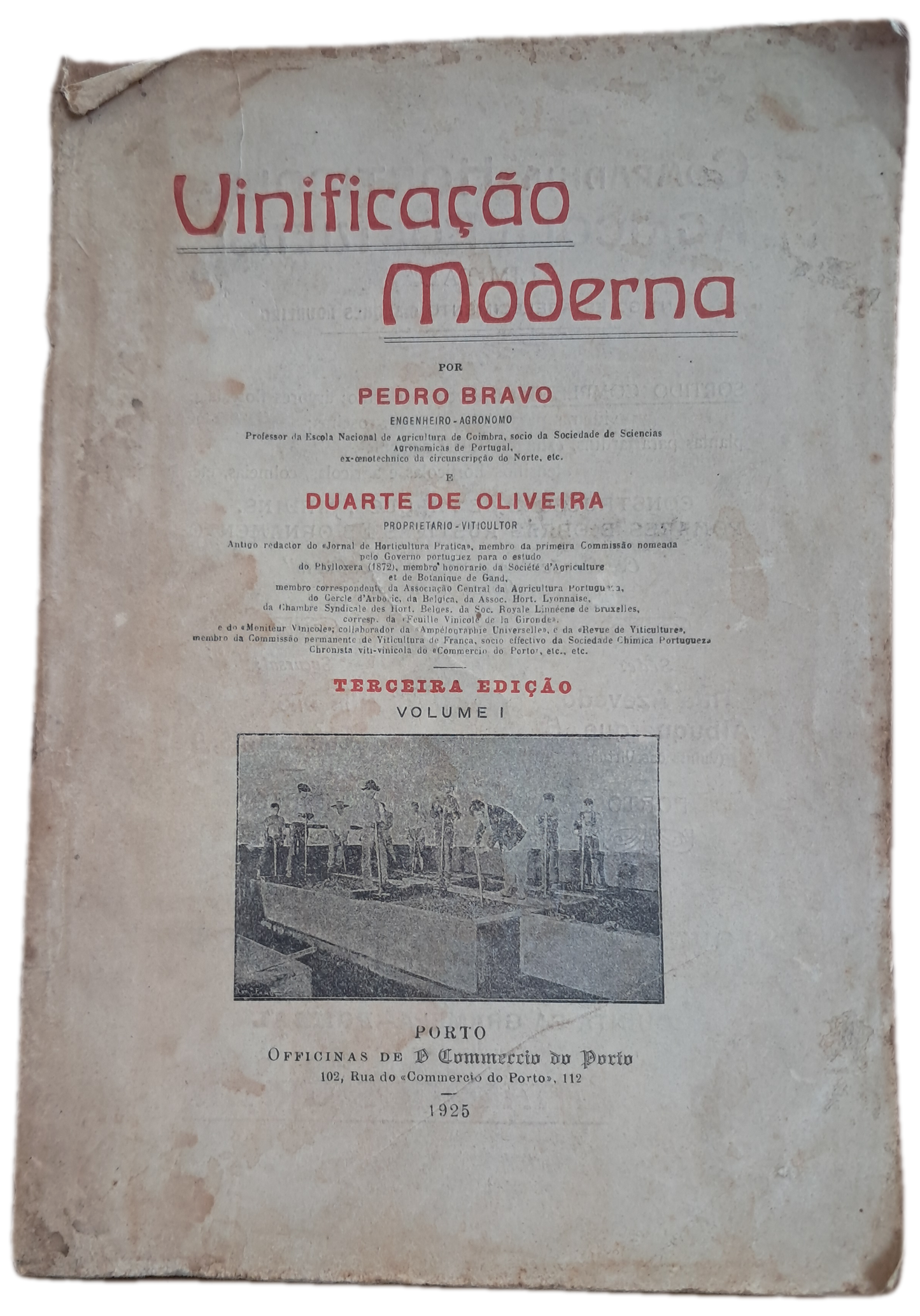 Vinificação Moderna (Envelhecido)