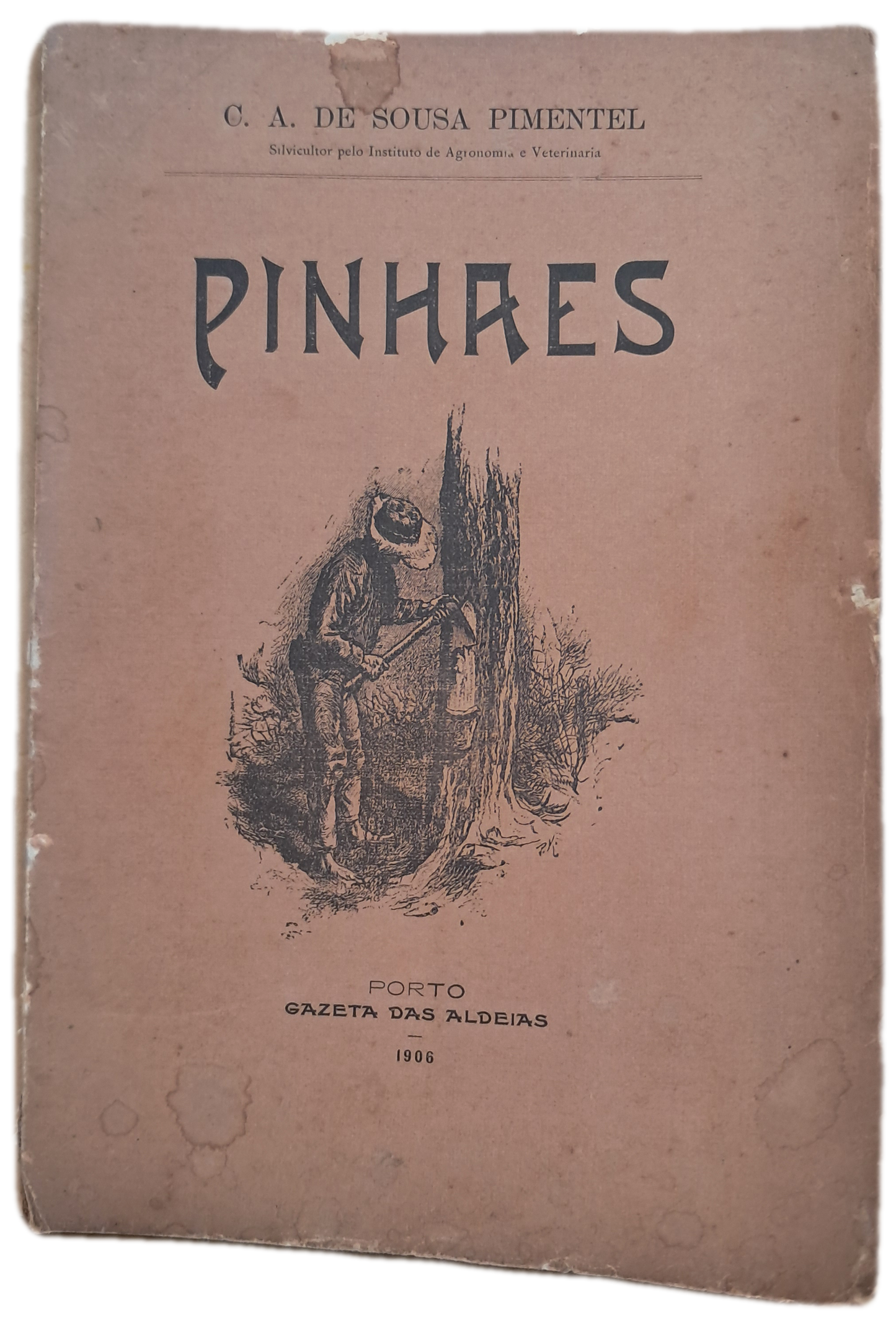 Pinhaes (Usado)