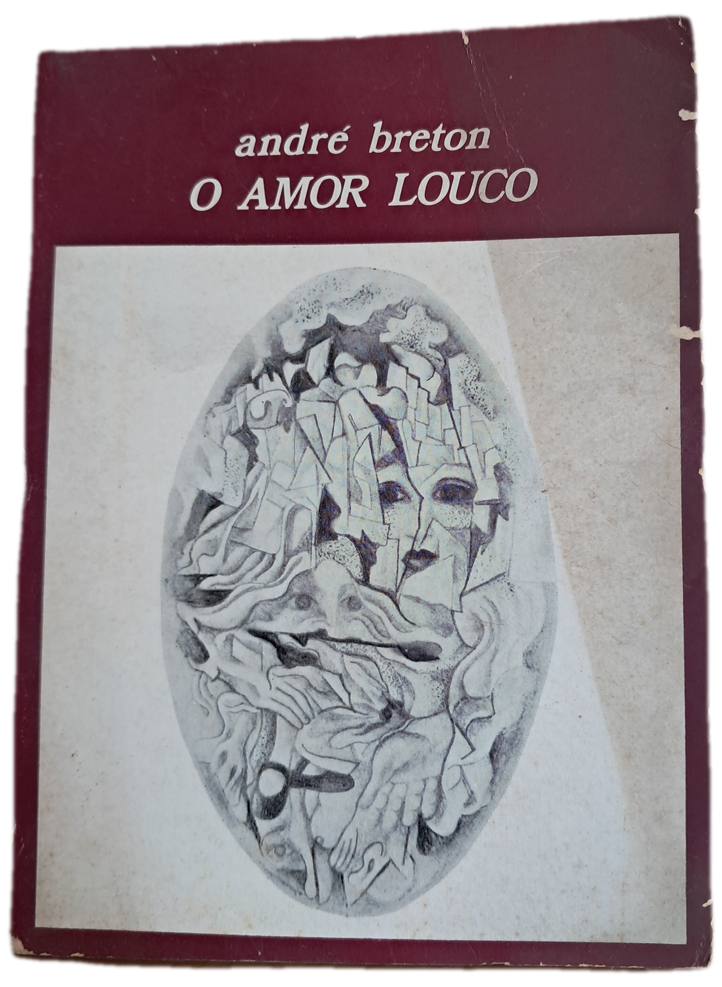 O Amor Louco (Usado)