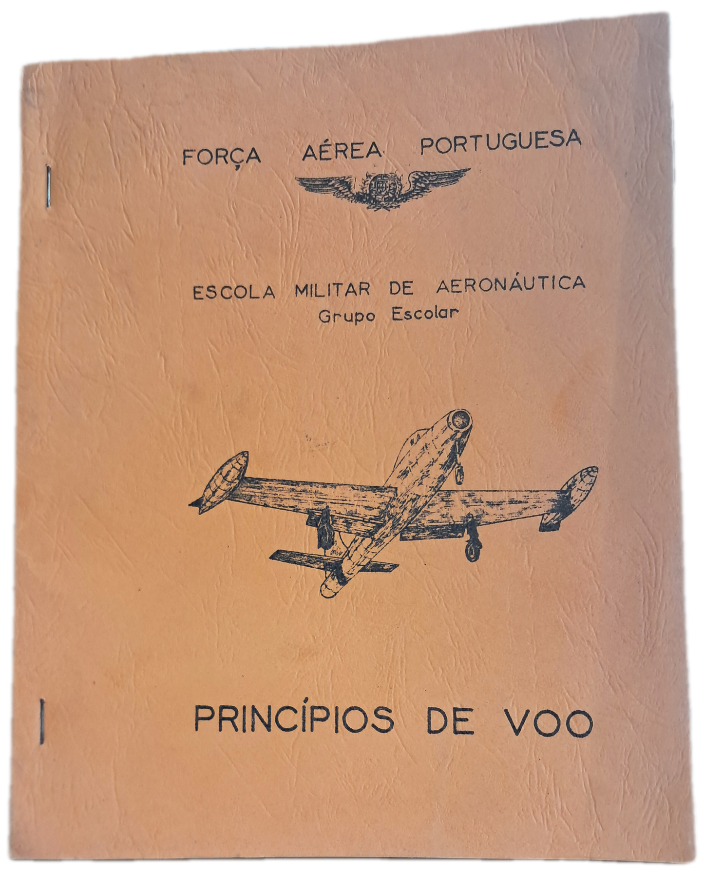 Principios de Voo (Usado)