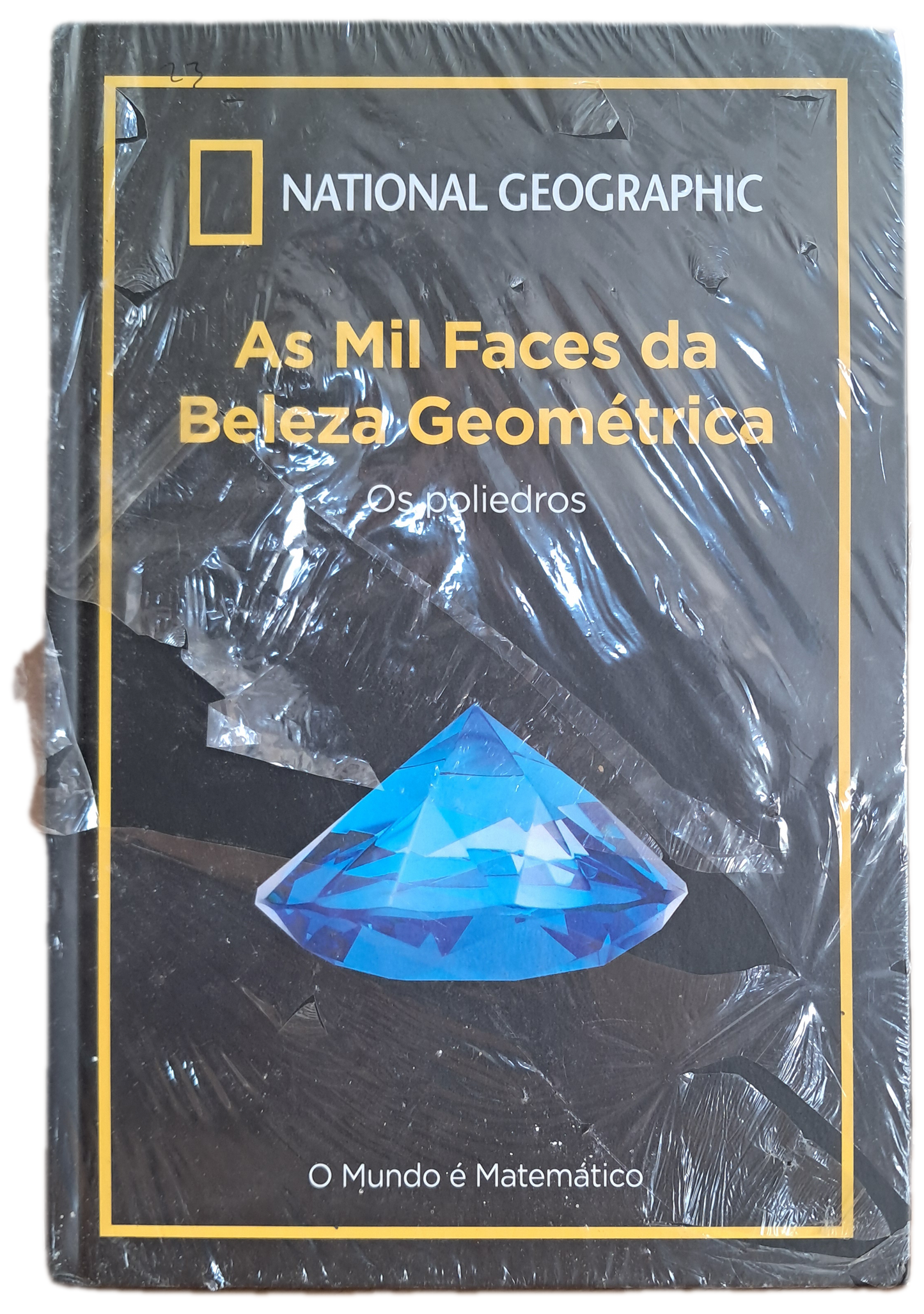 As Mil Faces da Beleza Geométrica