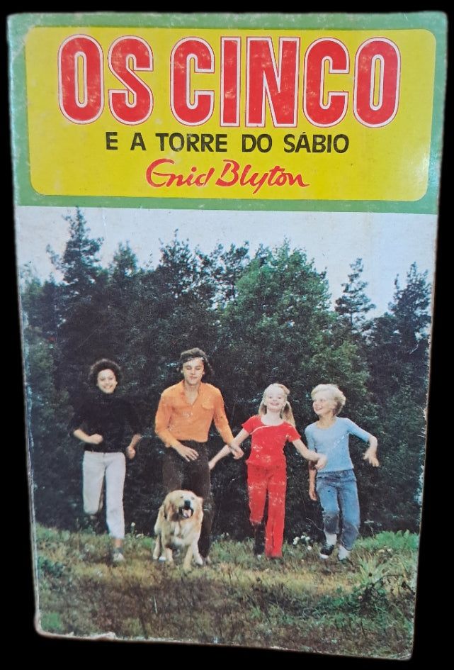 Os Cinco e a Torre do Sábio (Usado)
