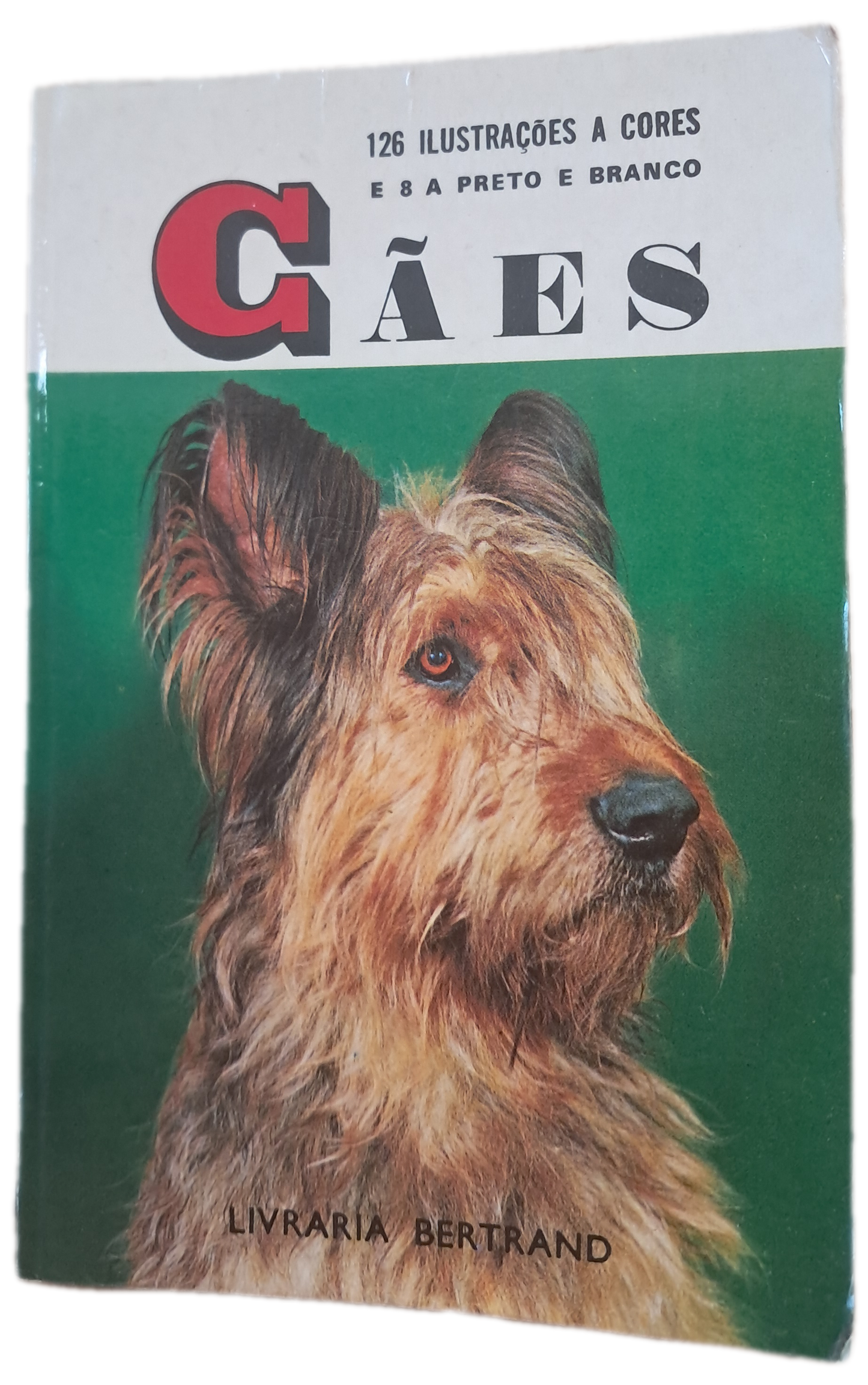 Cães (Usado)