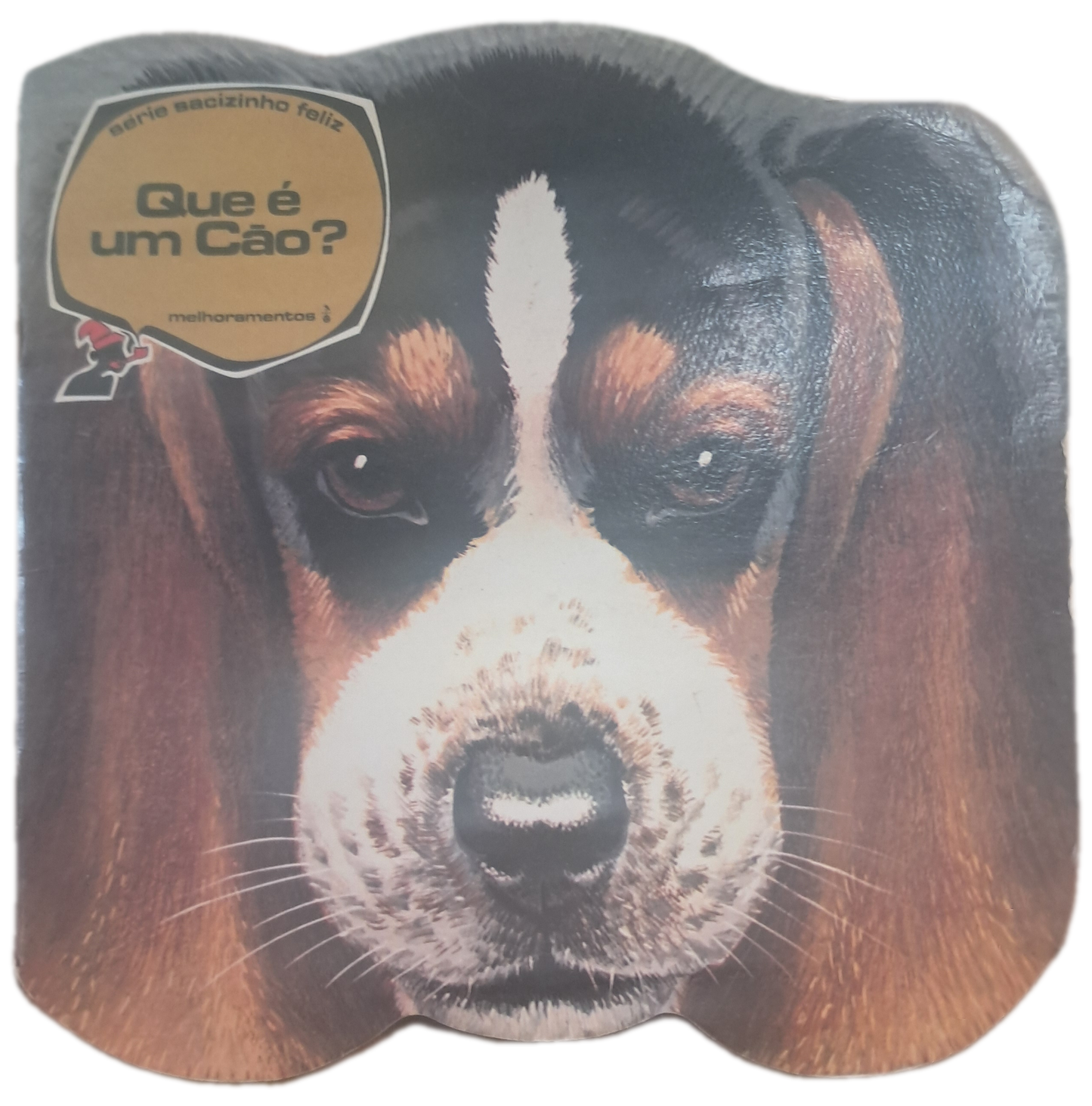 O Que é Um Cão (Usado)