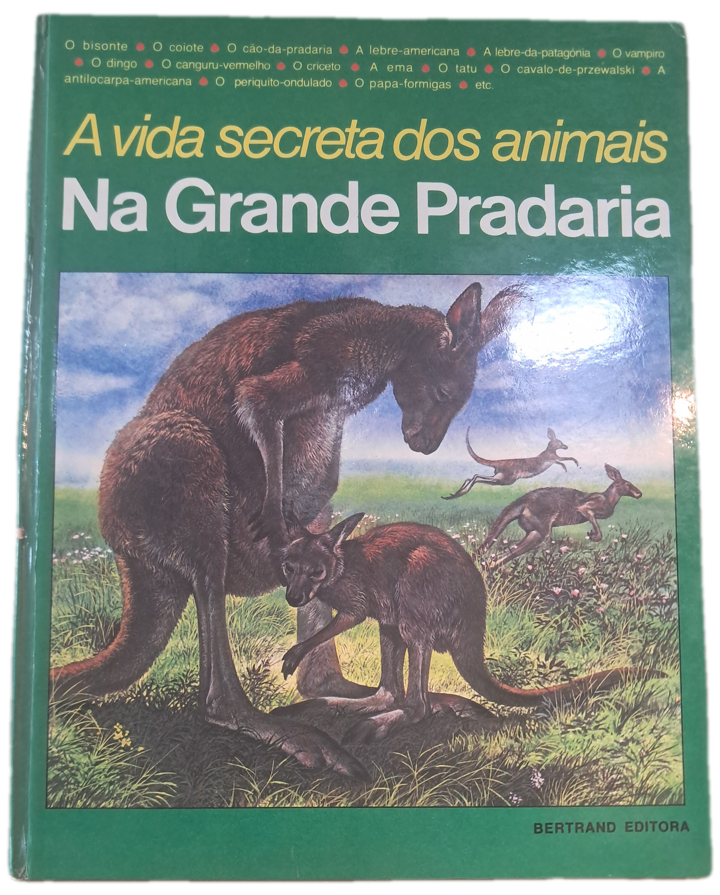 A Vida Secreta dos Animais Na Grande Pradaria (Bom Estado)