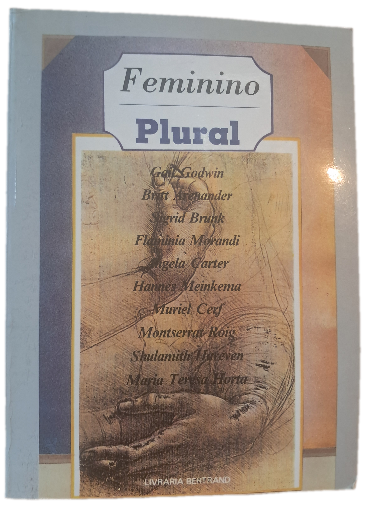 Feminino Plural (Usado)