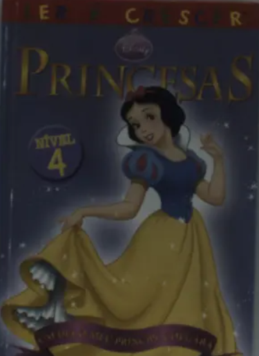 Um Dia o Meu Príncipe Chegará (Bom Estado)