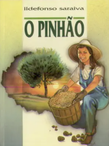 O Pinhão (Bom Estado)