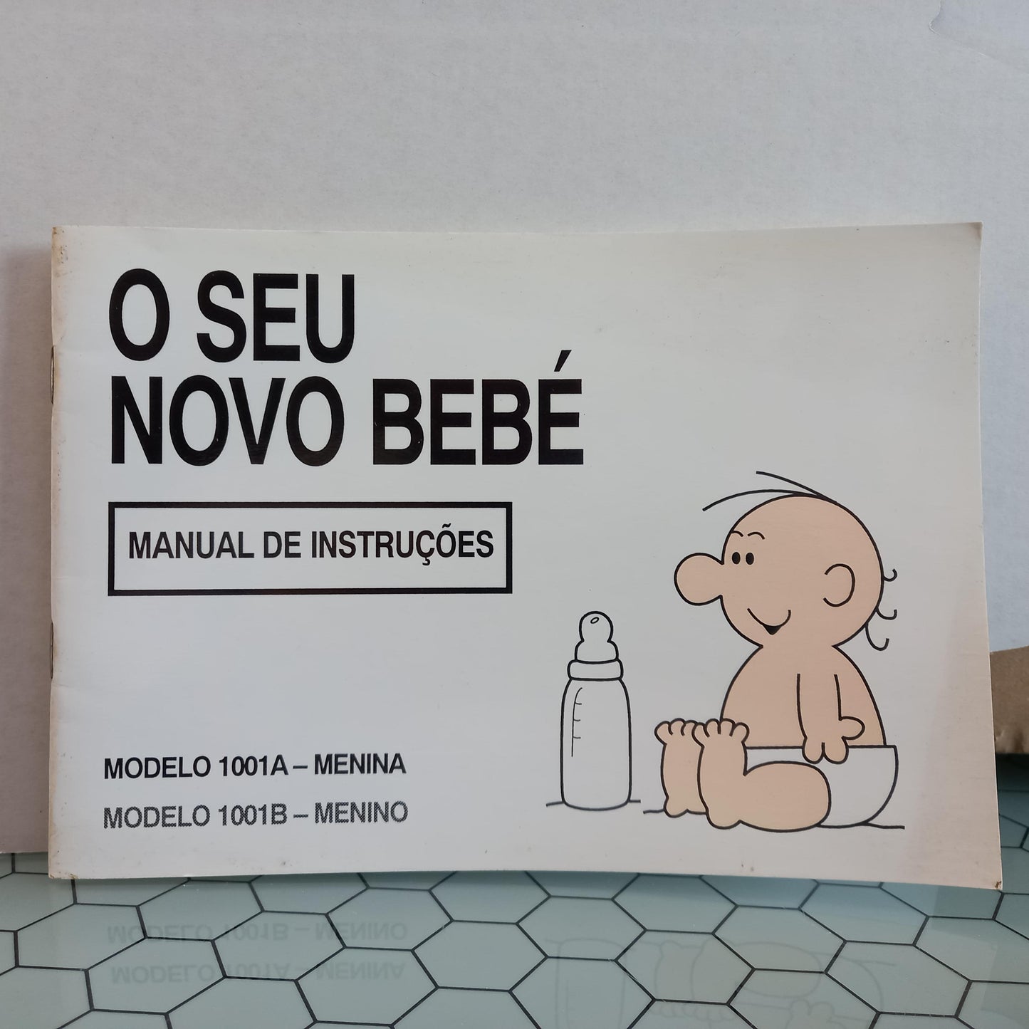 O Seu Novo Bebé