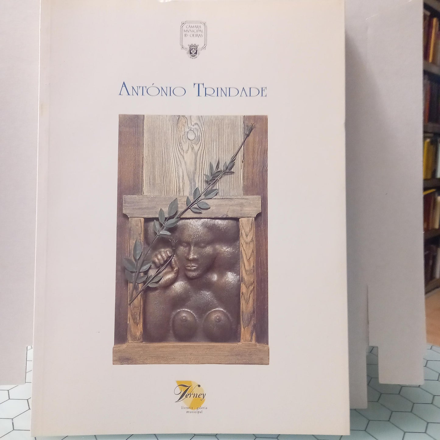 Manuela Jardim e António Trindade